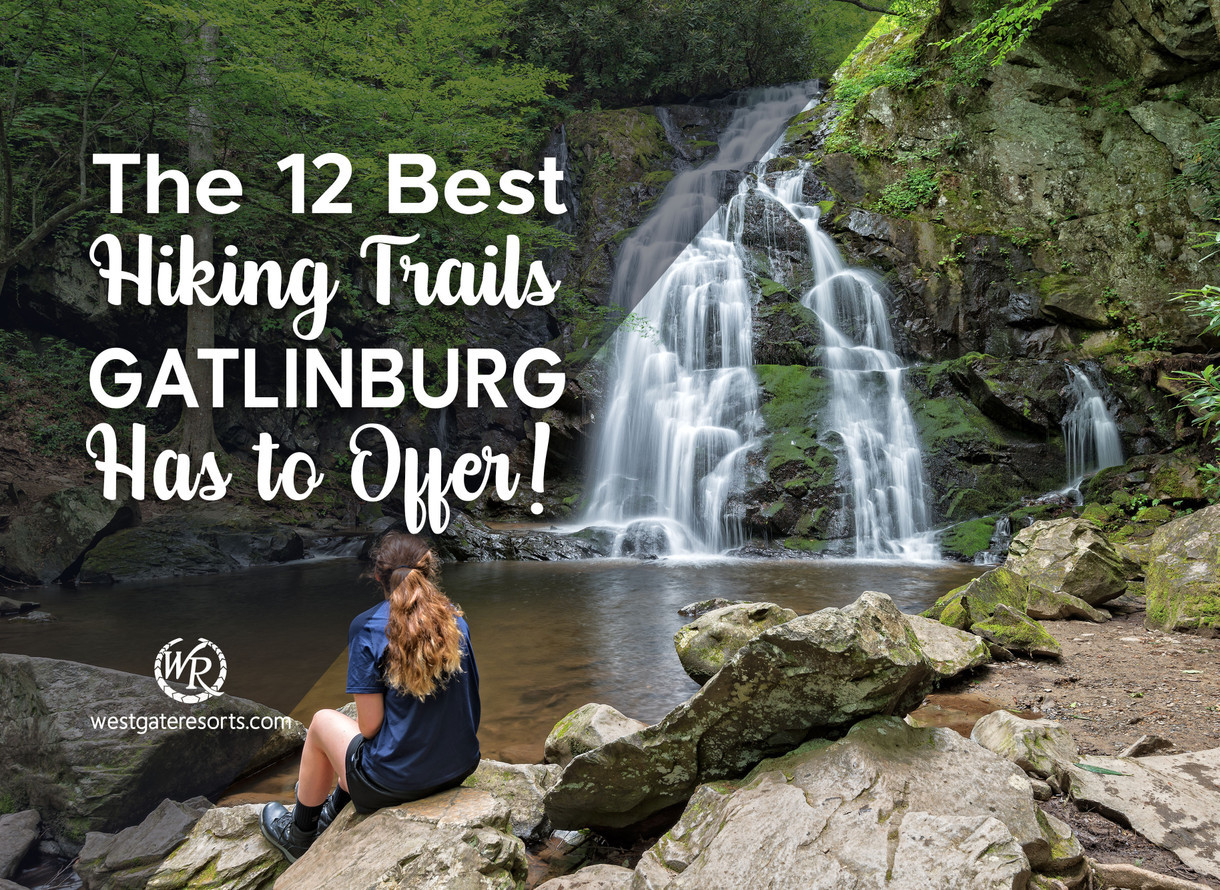 Best short hikes in shop smoky mountain national park