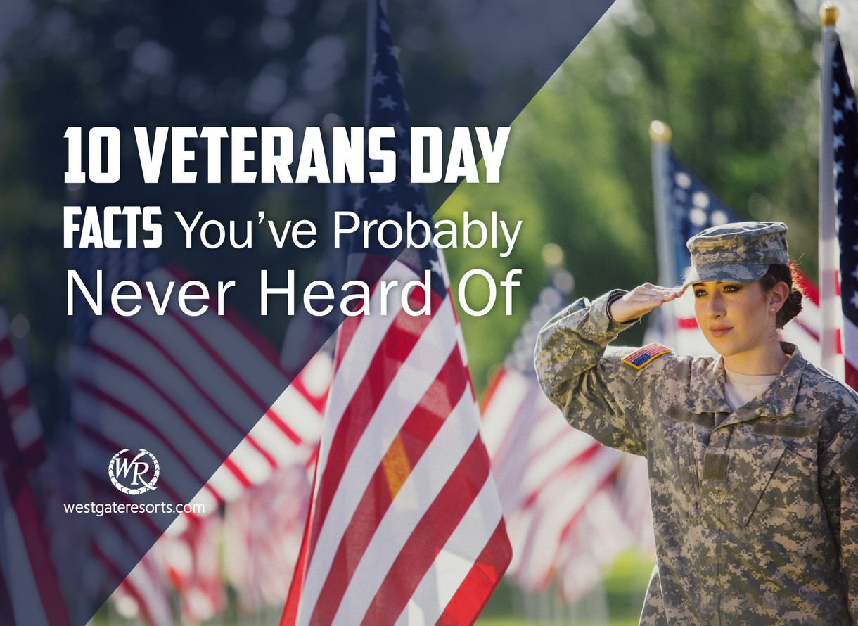 10 datos del Día de los Veteranos de los que probablemente nunca hayas oído  hablar, image size:1220x890