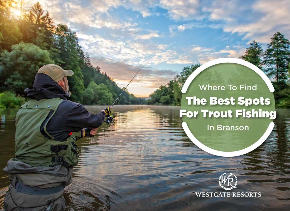 Where to Find the Best Spots For Trout Fishing in Branson: 10