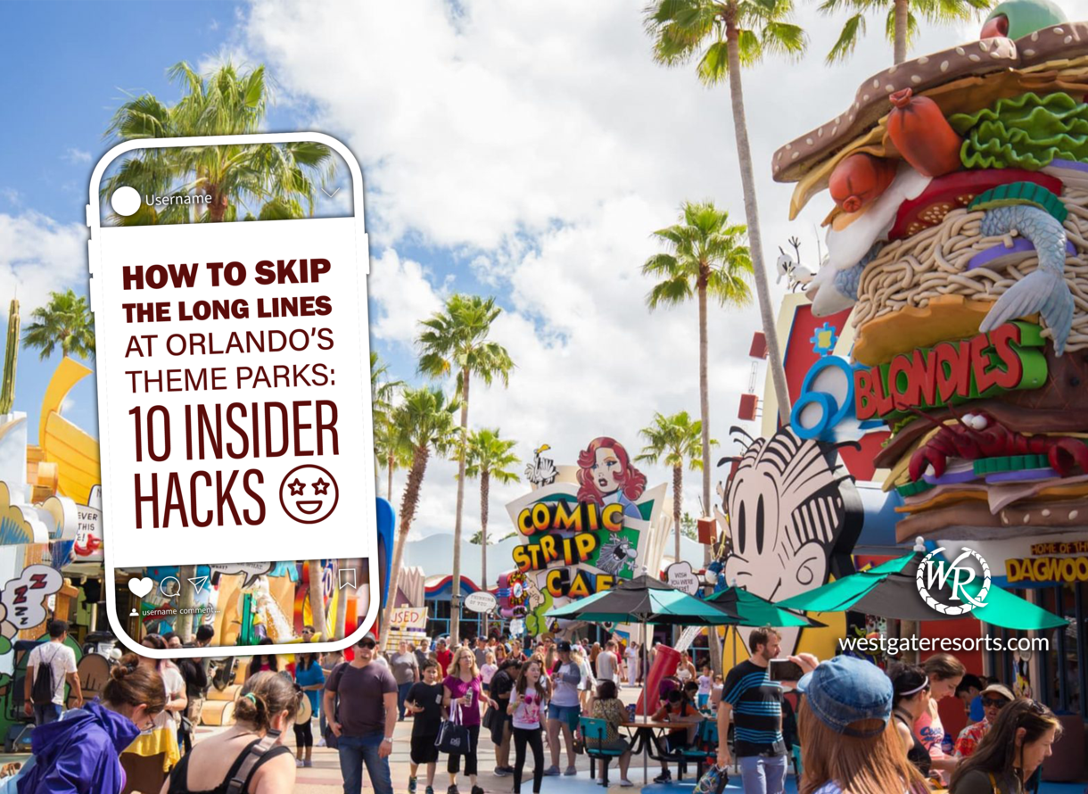 Atardecer en Miami: Tour privado en avión de lujo in Miami, image size:1220x890