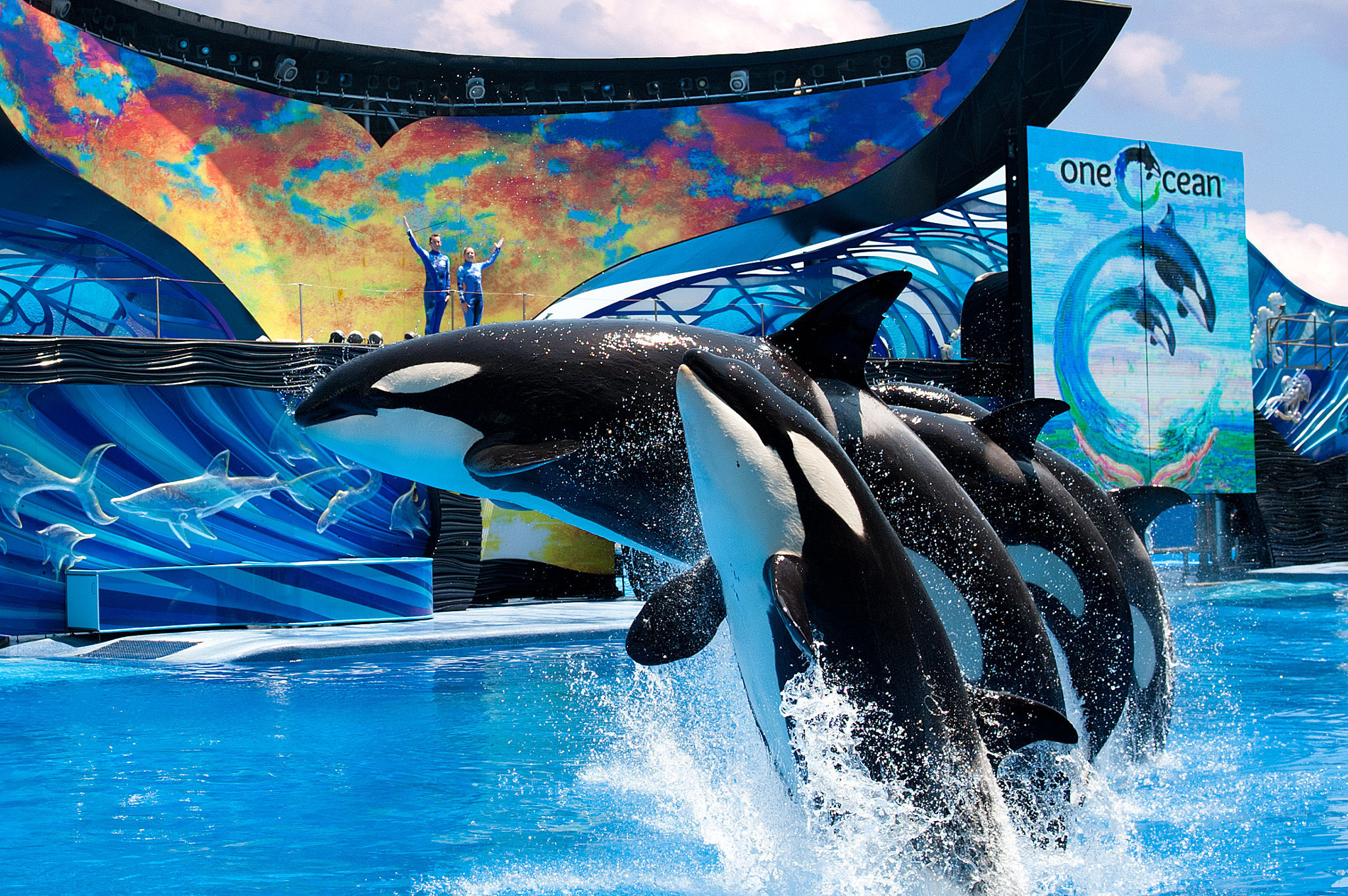 seaworld orlando tickets package | Westgate Palace 