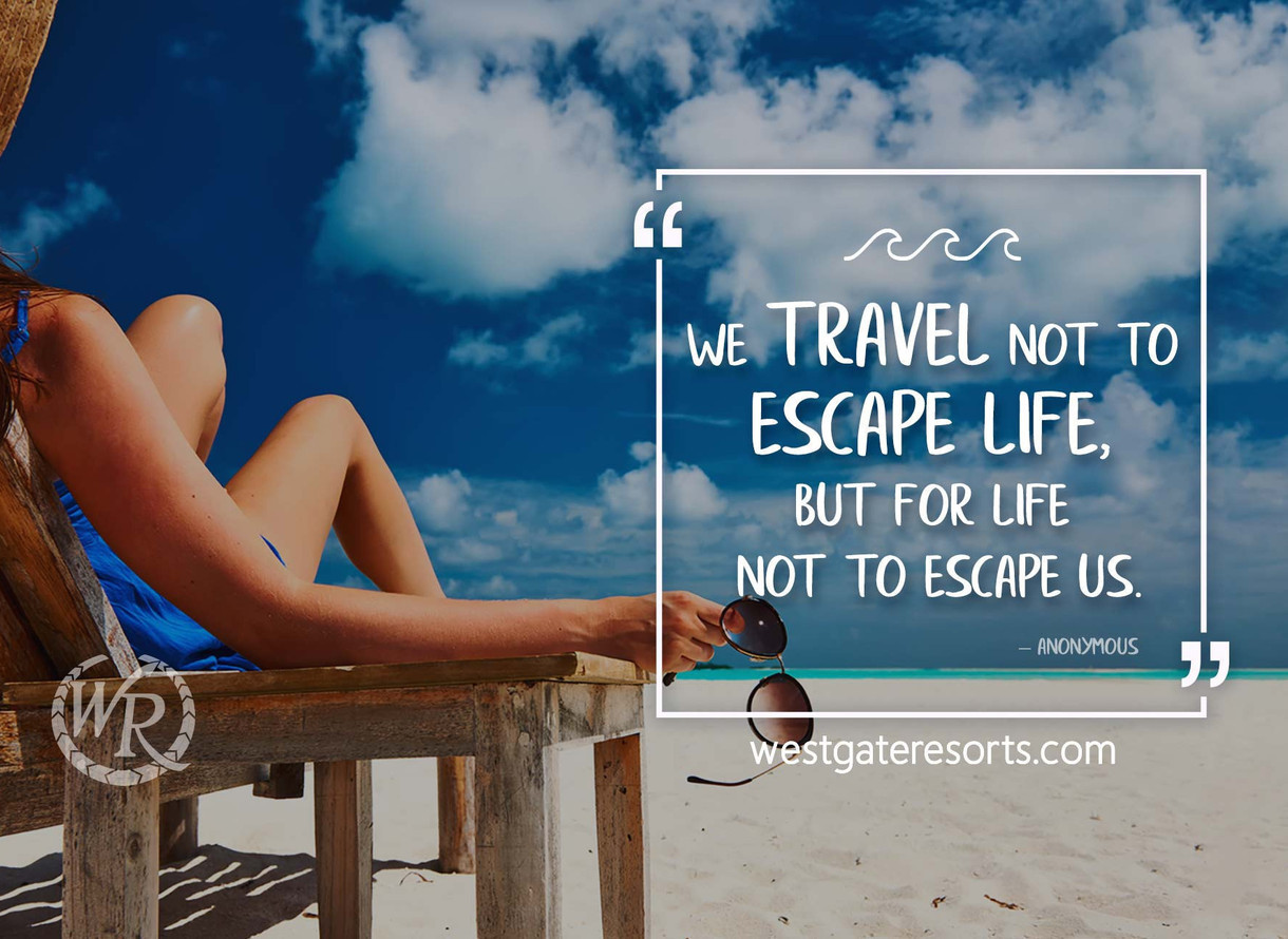 We Travel Not To Escape Life But For Life Not To Escape Us Meaning In Hindi