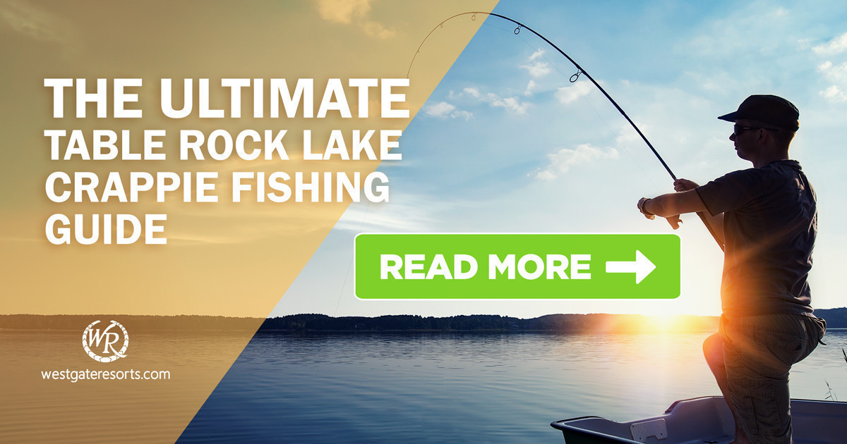 The Ultimate Table Rock Lake Crappie Fishing Guide