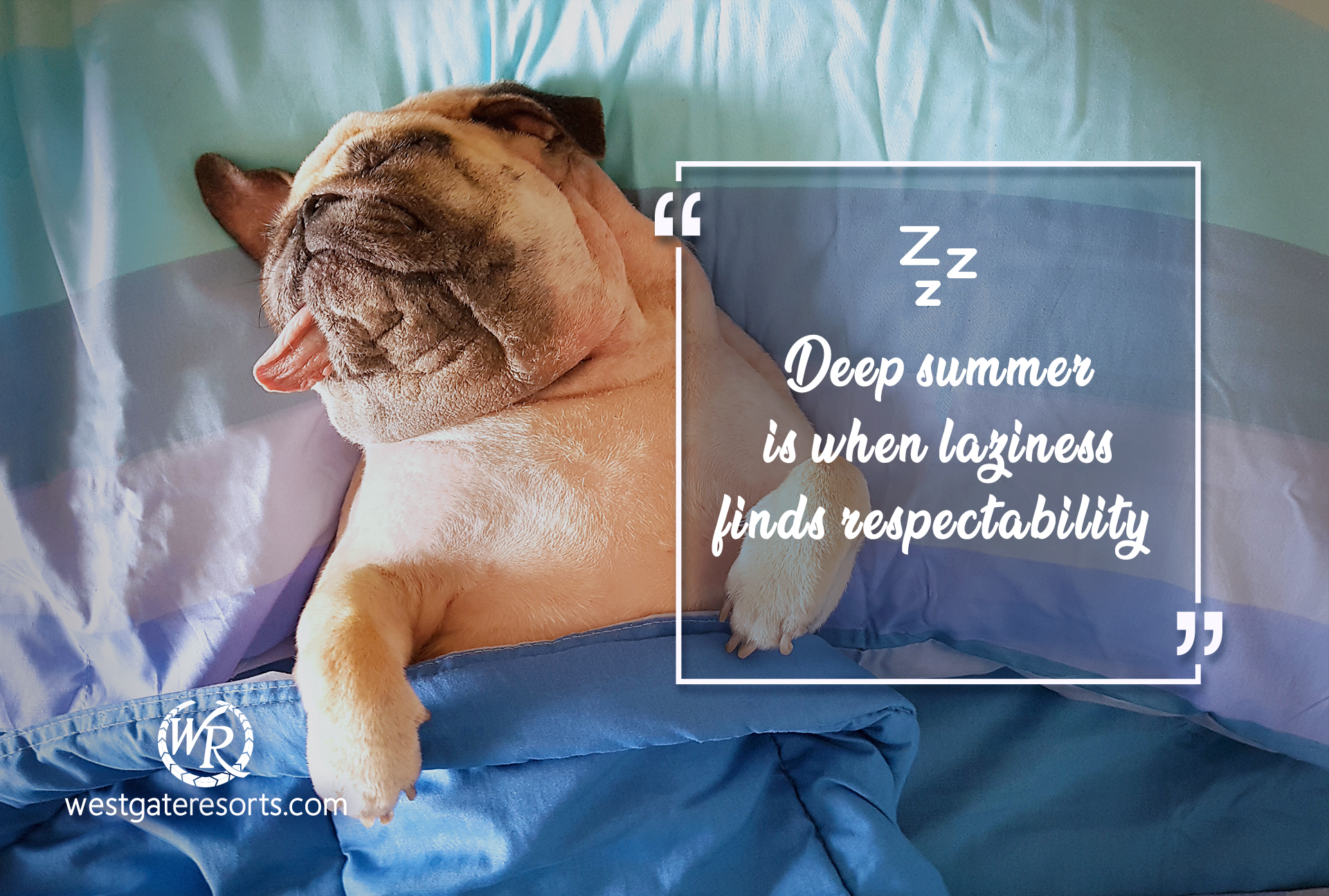 Deep summer is when laziness finds respectability | Travel Motivation Quotes | Inspirational Travel Sayings