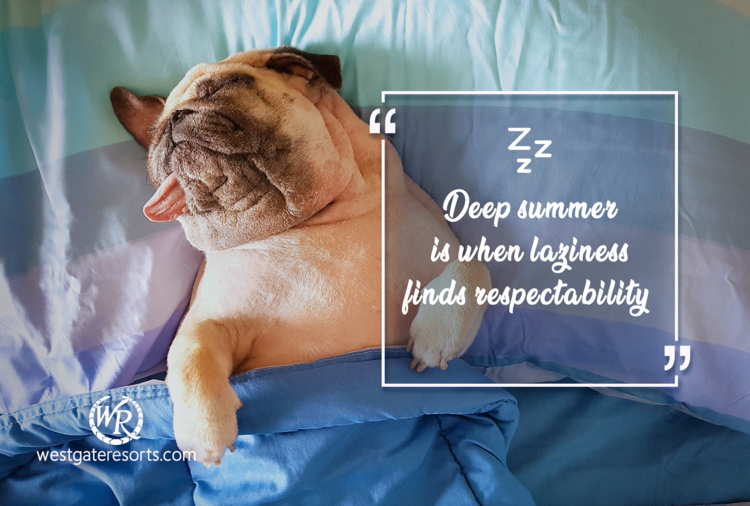 Deep Summer is When Laziness Finds Respectability | Sam Keen | Motivational Travel Quotes
