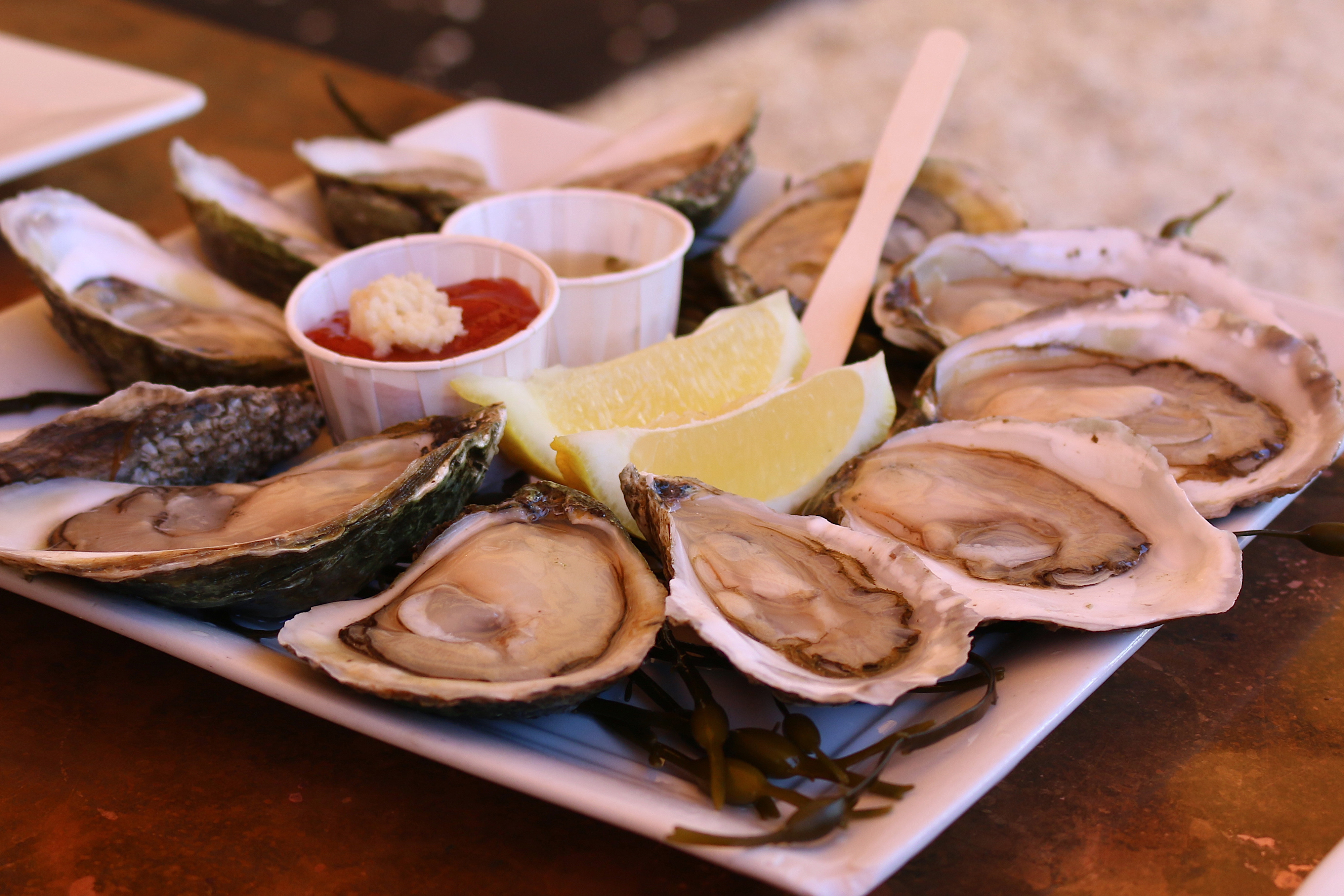 bar de ostras de la gran estación central
