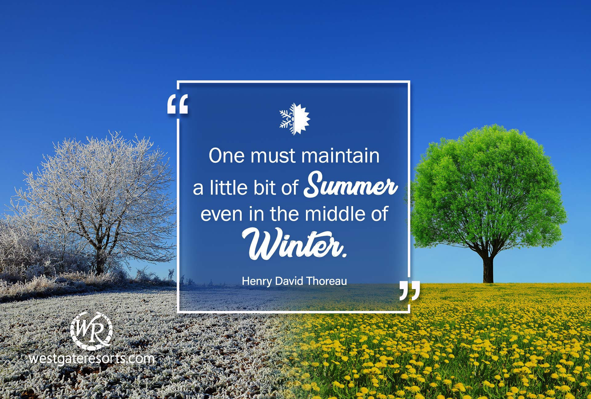 One must maintain a little bit of summer, even in the middle of winter | Henry David Thoreau | Travel Motivational Quotes