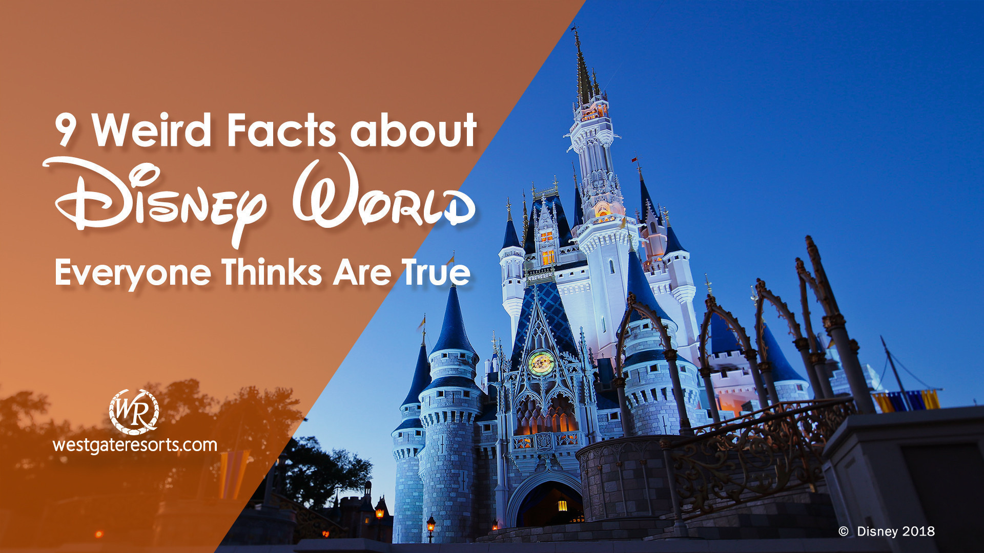 ¡9 datos extraños sobre Disney World que todos creen que son ciertos! | cosas que hacer en Disney World | Resorts en Westgate