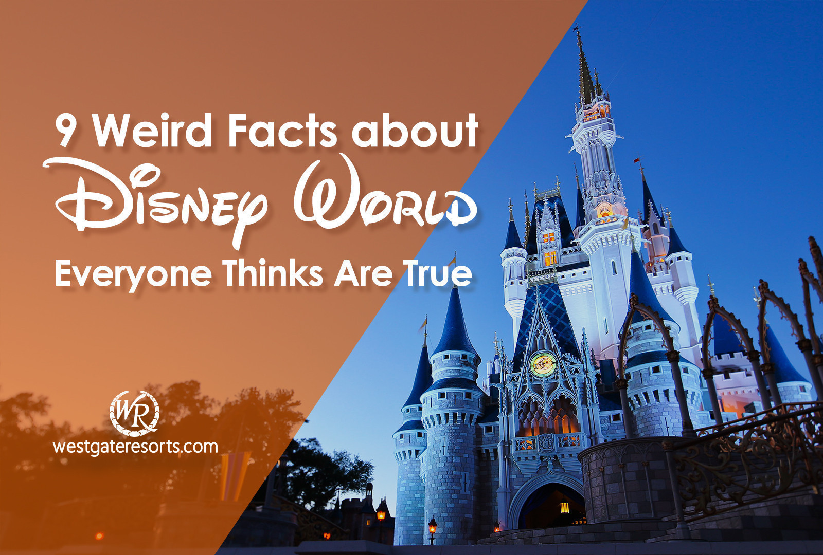 Cool Things About the Different Disney World Castles Around the World