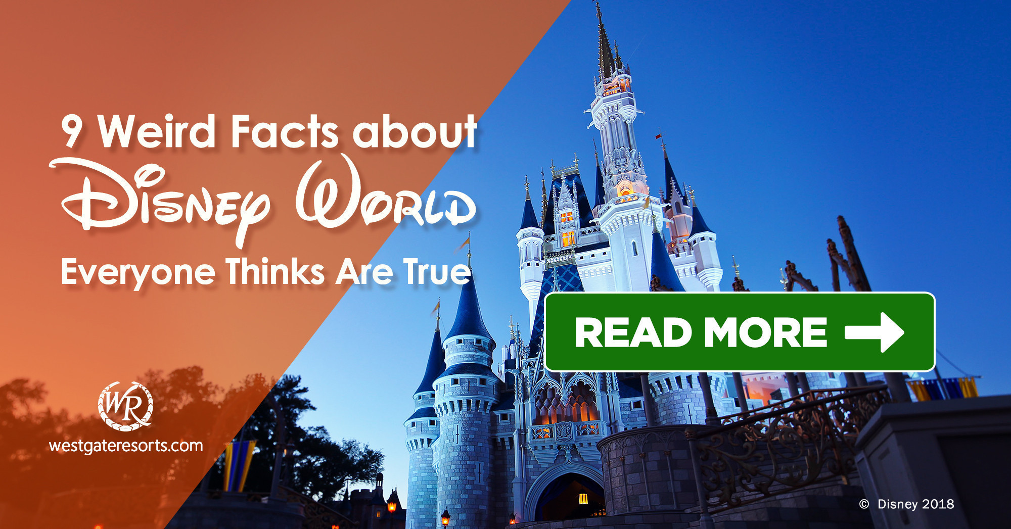 9 Weird Facts About Disney World Everyone Thinks Are True! | Things to Do at Disney World | Westgate Resorts