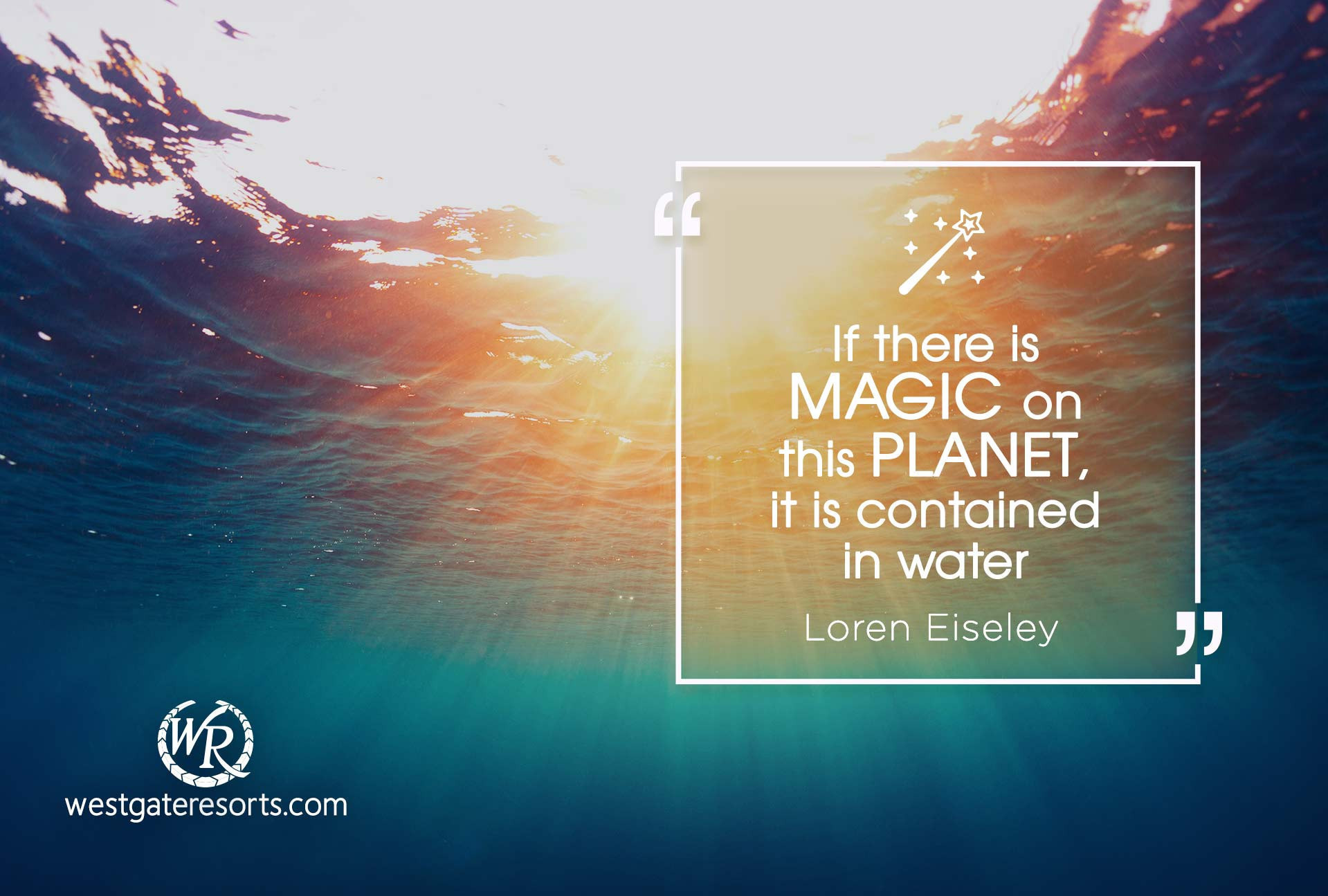 If There is Magic on This Planet, It is Contained in Water.