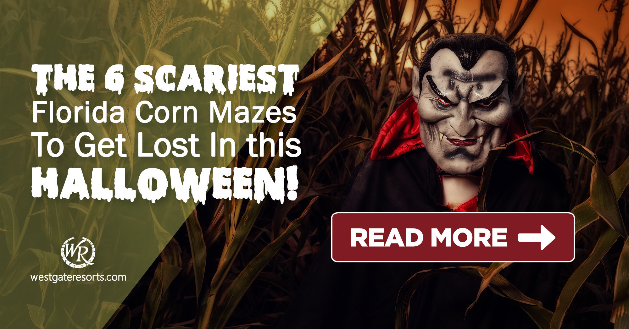 ¡Los 6 laberintos de maíz de Florida más aterradores para perderse este Halloween! | Resorts en Westgate