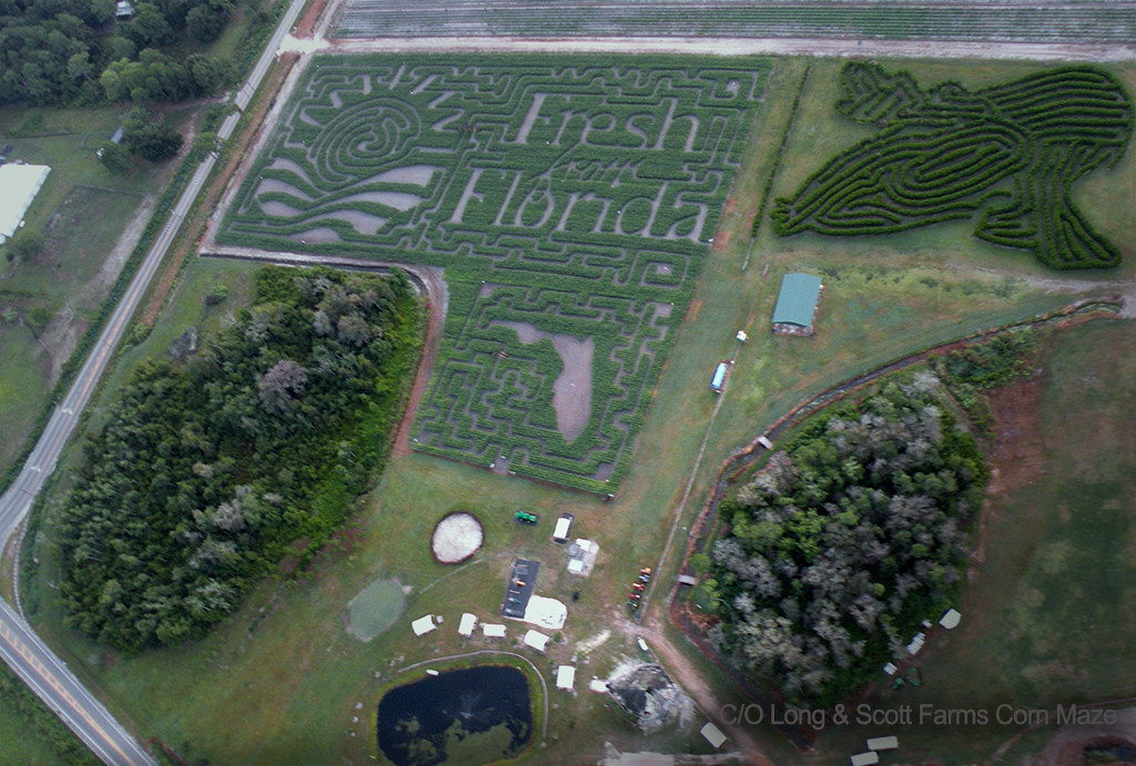 Long & Scott Farms Corn Maze – Mount Dora, FL | Scary Florida Corn Mazes This Halloween | Westgate Resorts