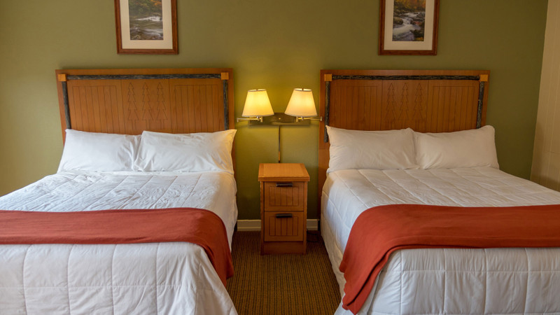 Opción de alojamiento -river-view-queen-guestroom