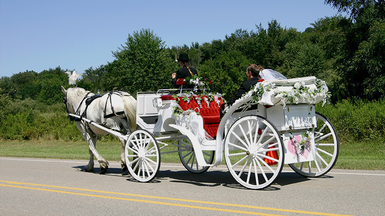 Horse Drawn Carriage at Country Wedding | Bride Guide: 6 Vintage Country Wedding Theme Ideas Right From the Ranch! | Westgate River Ranch