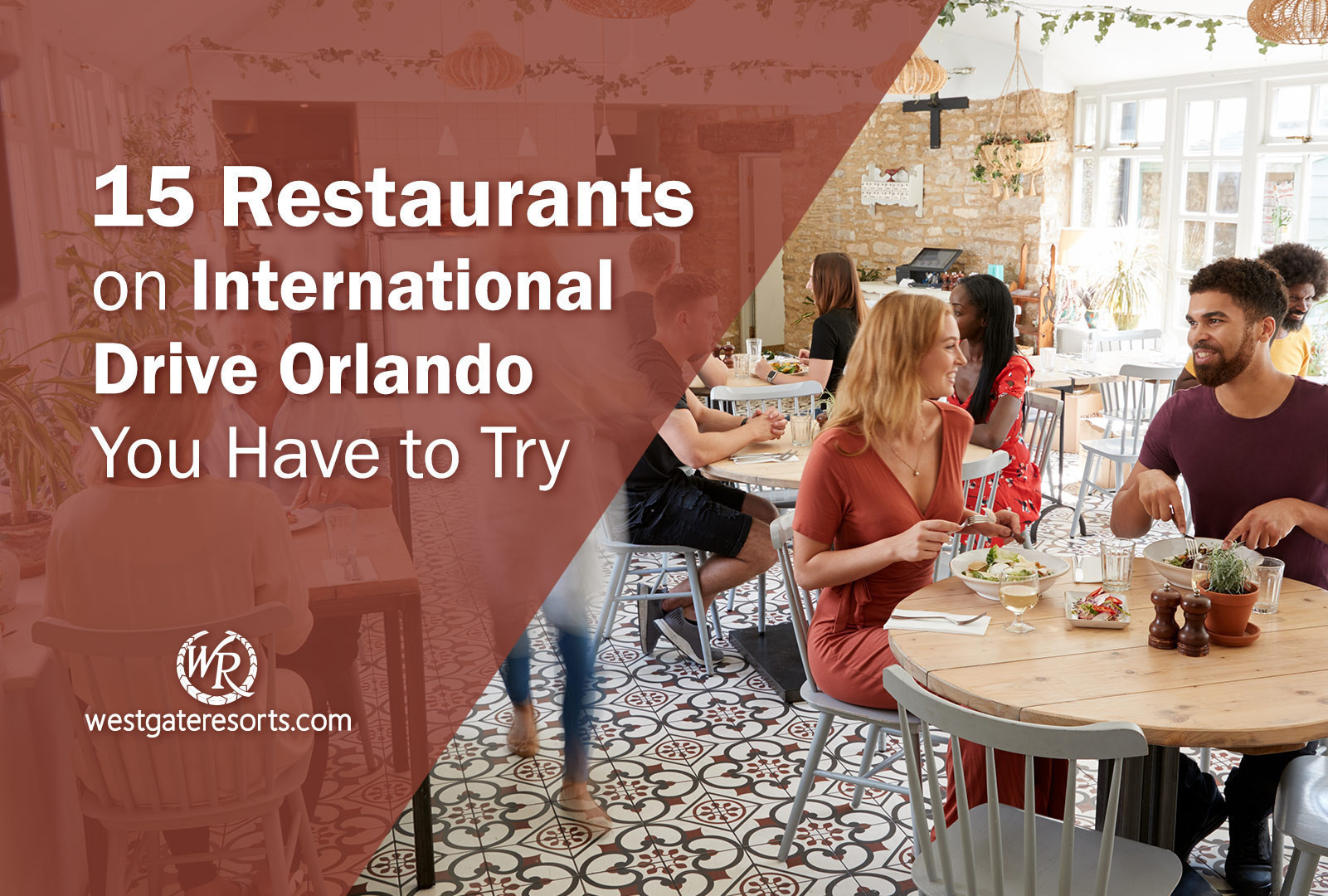 15 Restaurants on International Drive Orlando You Have to Try | I Drive  Restaurants Guide