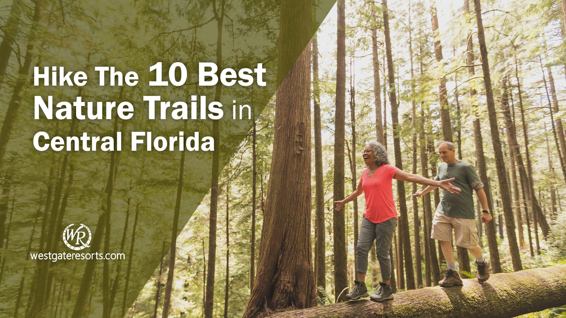 The Best Hiking Trails Near Central Florida For Scenic Hiking, Day Hiking, or Longer Hikes | Best Places in Florida For Hiking