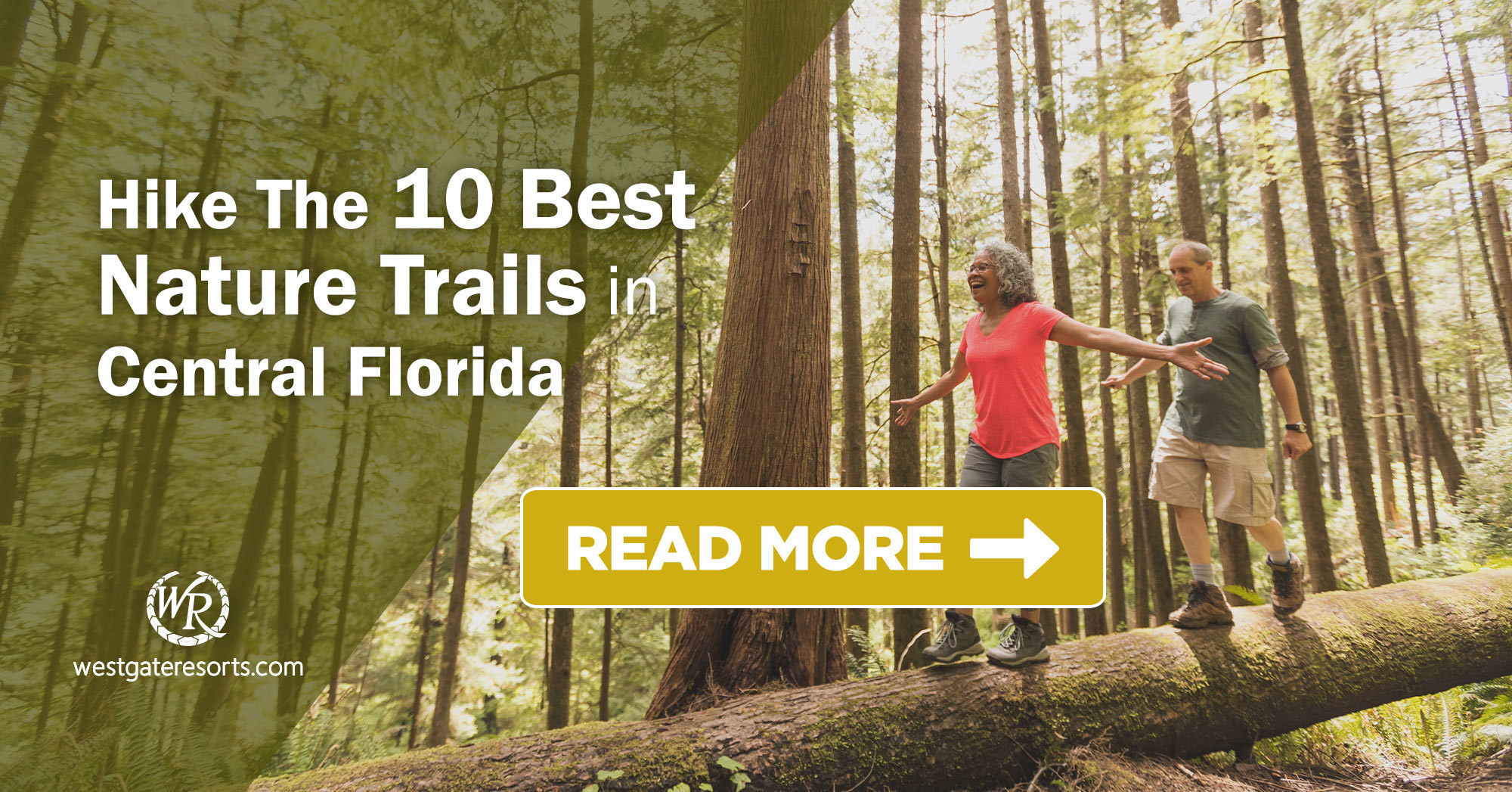 Las mejores rutas de senderismo cerca de Florida central para caminatas panorámicas, excursiones de un día o caminatas más largas | Los mejores lugares en Florida para hacer senderismo