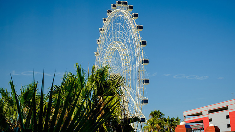 Five Reasons Why August is a Great Time to Visit Orlando's Theme Parks