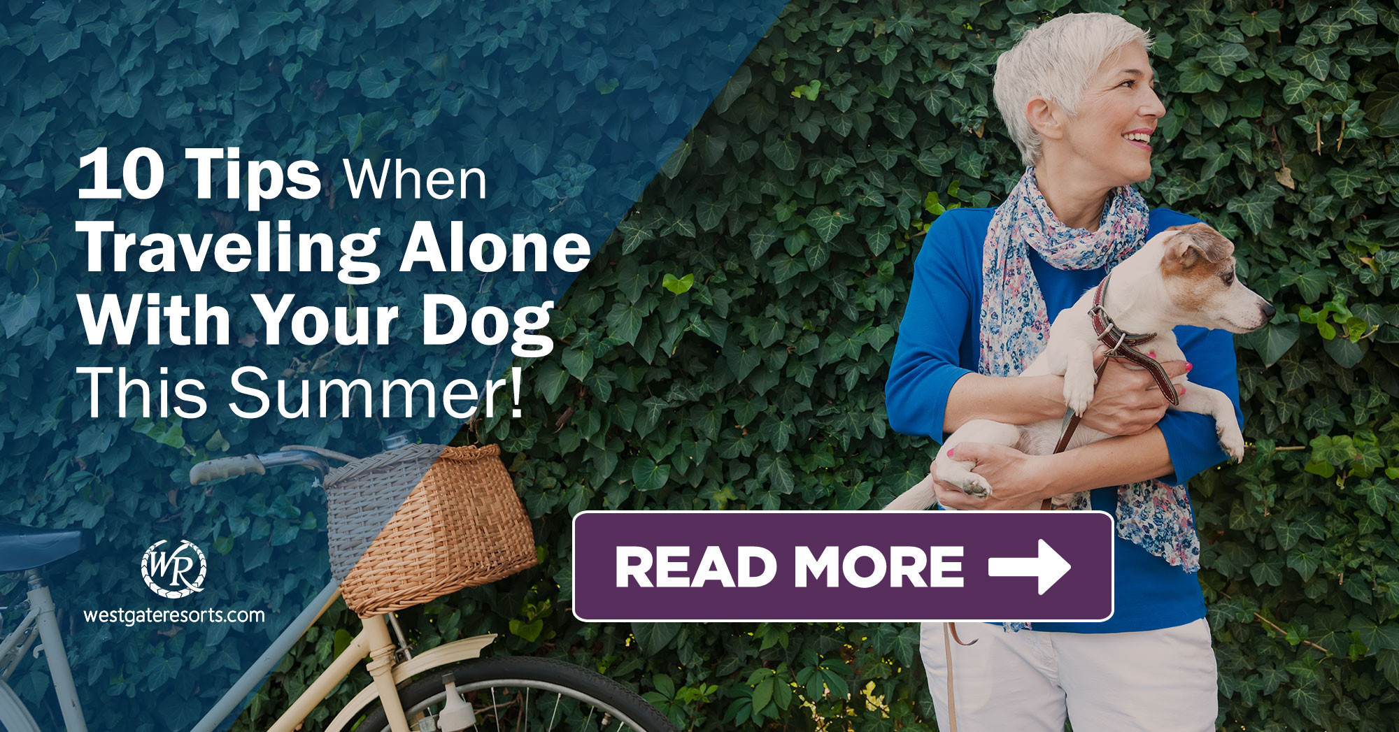 10 Tips When Traveling Alone With Your Dog This Summer | Dog-Friendly Travel Tips