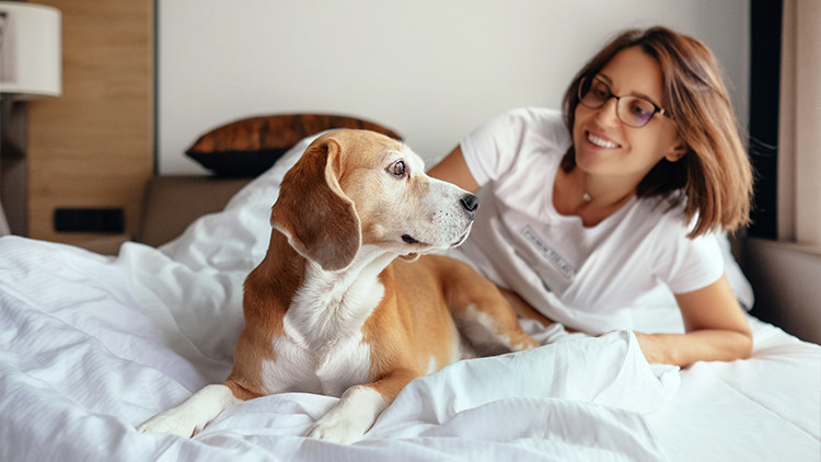 Dog Friendly Travel Tips | Pet Friendly Hotels | 10 Tips When Traveling Alone With Your Dog This Summer!