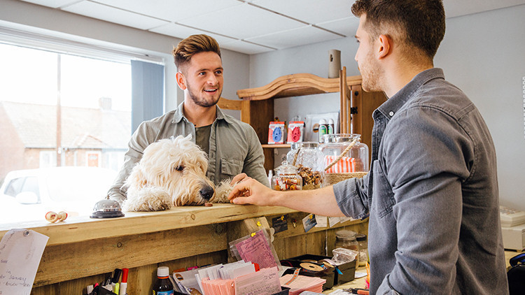 Dog Friendly Travel Tips | Pre Trip Checkup For Doggo | 10 Tips When Traveling Alone With Your Dog This Summer!