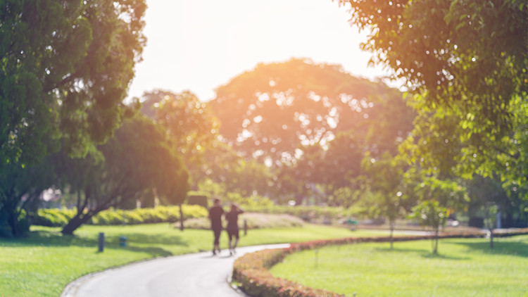 Cosas divertidas para hacer gratis en Orlando para niños Verano 2020 | Jardines de Harry P. Leu