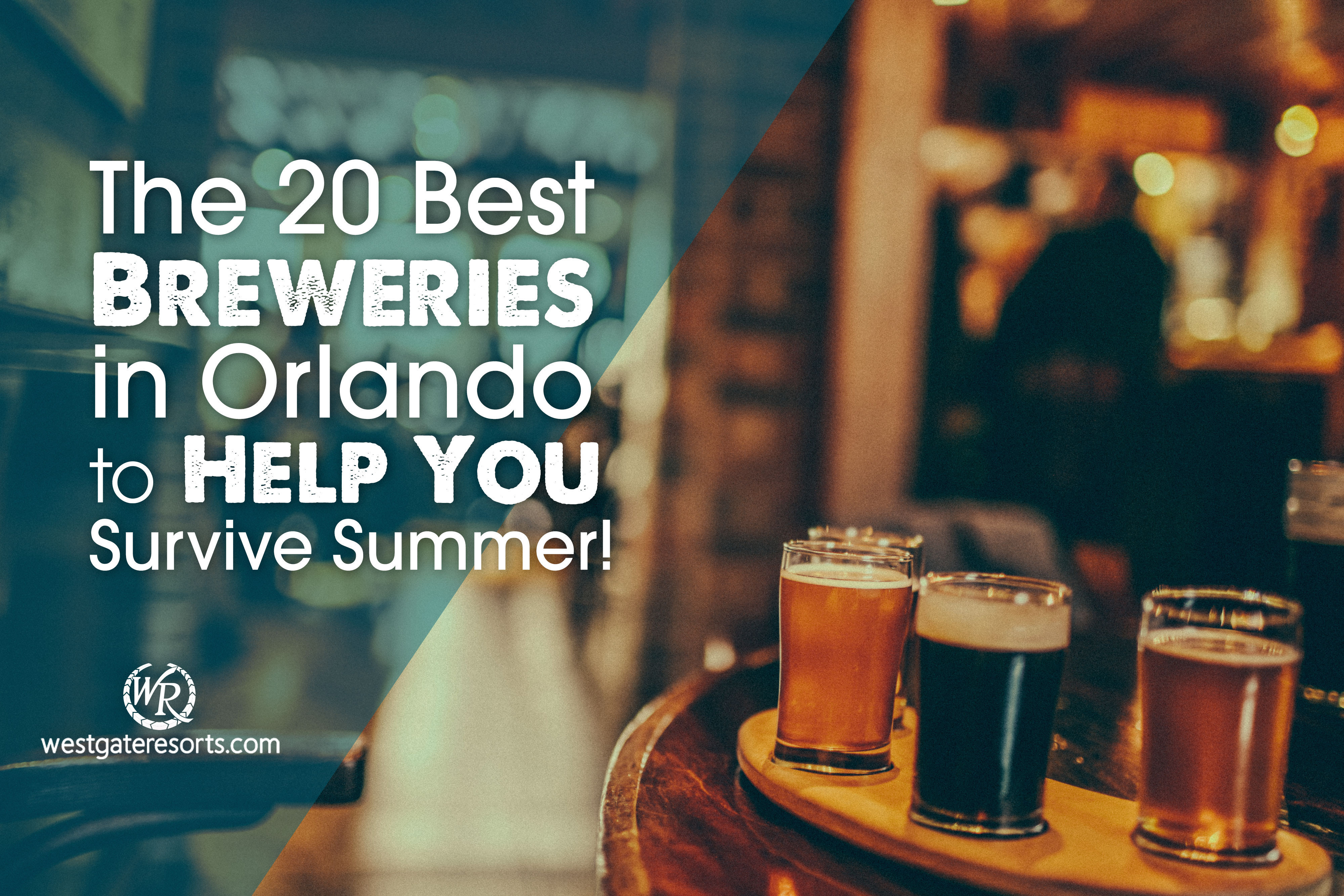 Orlando Breweries | The 20 Best Breweries in Orlando to Help You Survive Summer