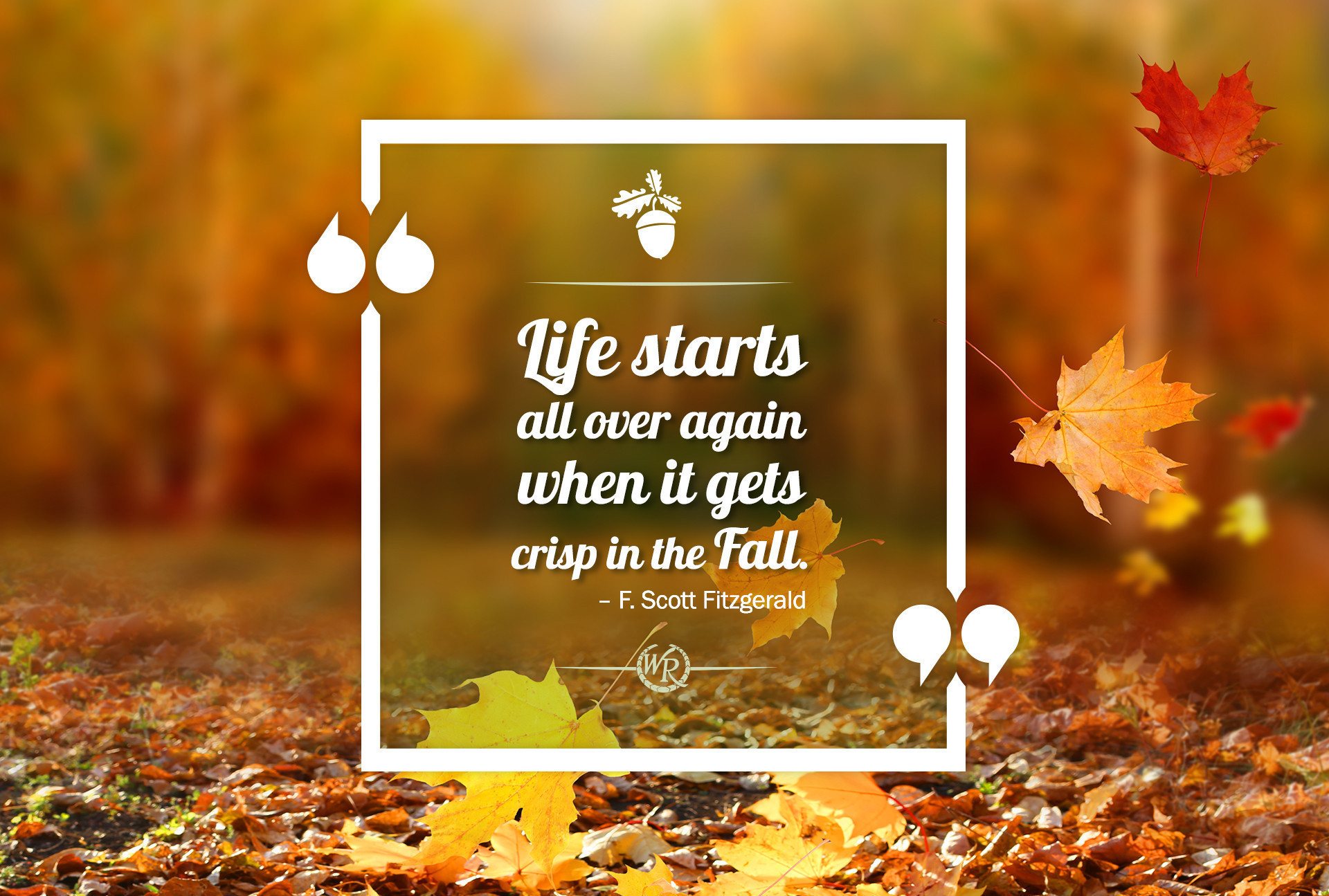 Life Starts All Over Again When It Gets Crisp In The Fall. – F. Scott Fitzgerald | Inspirational Travel Quotes