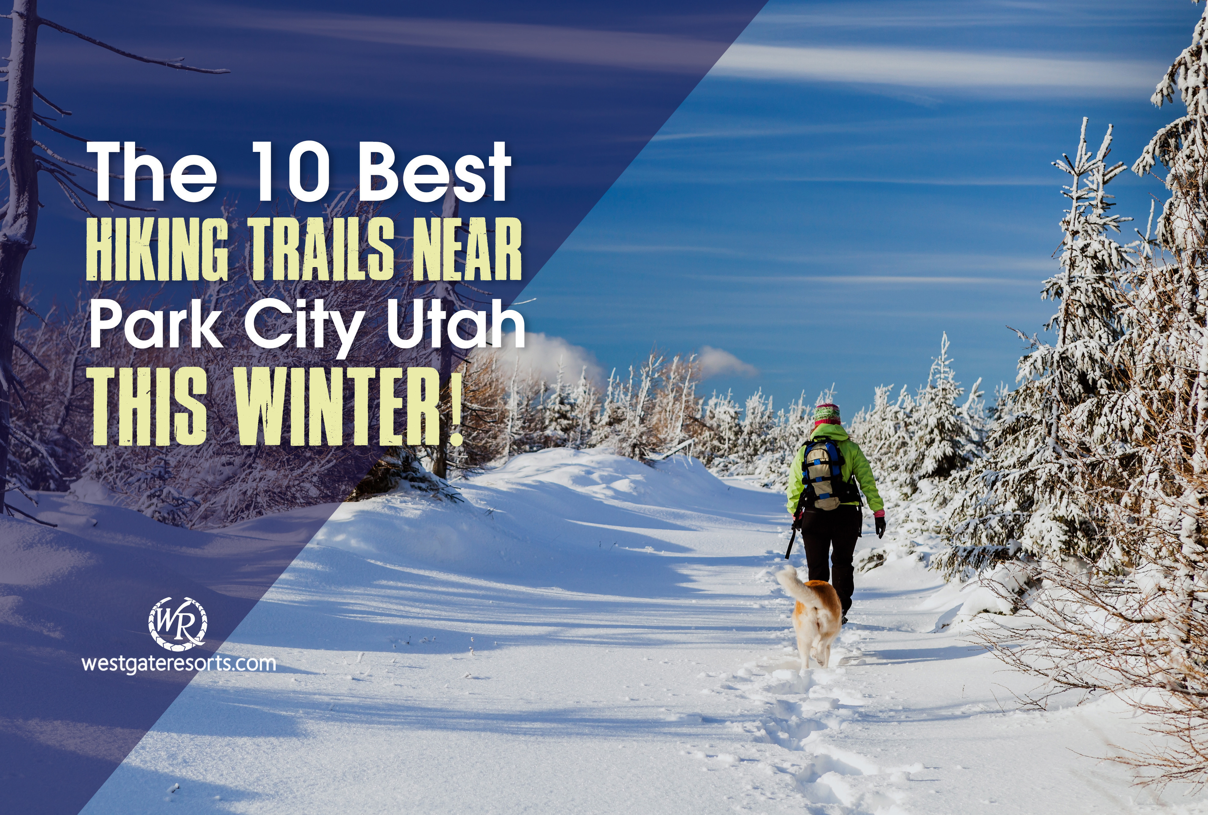 Top Summer Trails for Kids - Ski Utah