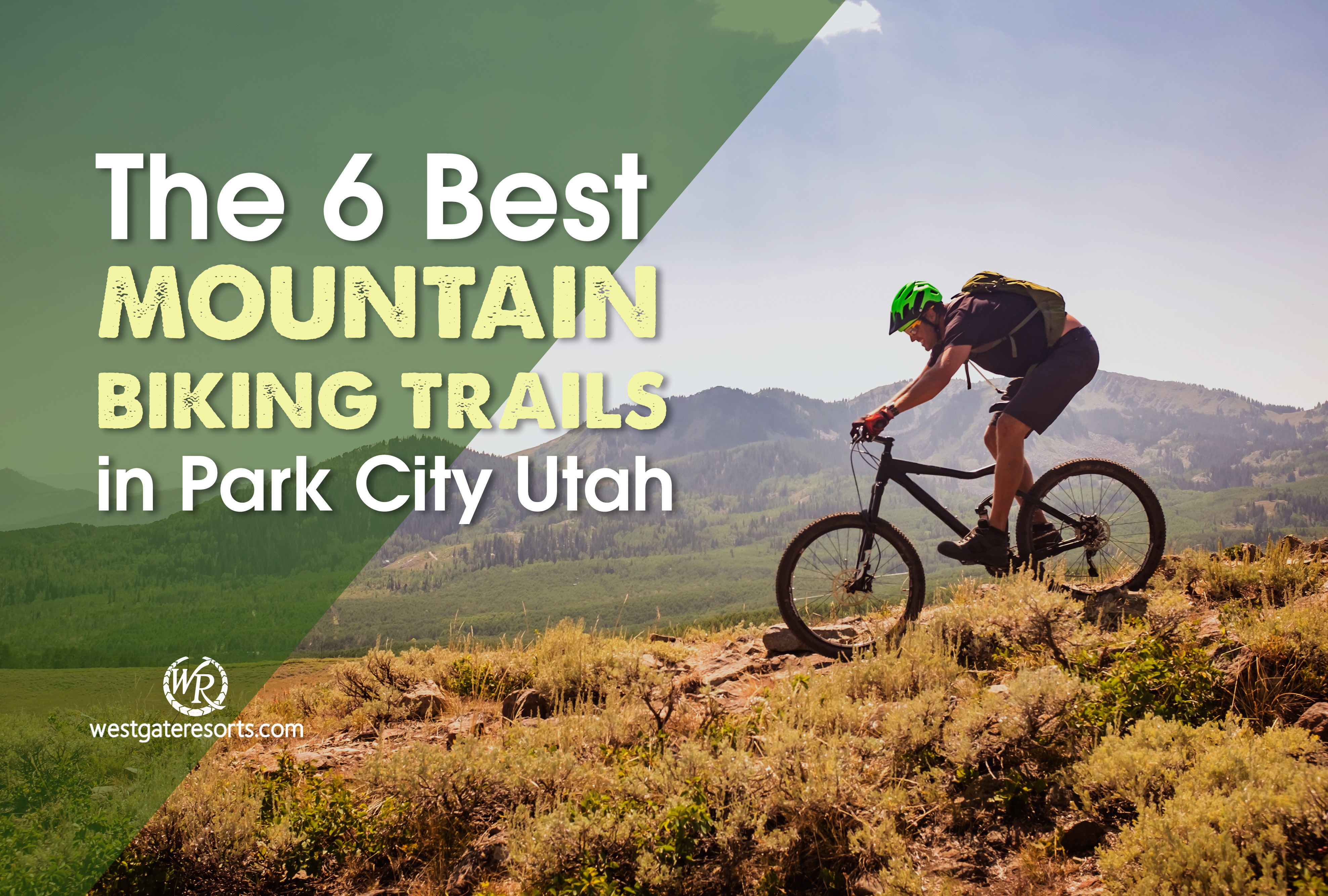 Best mountain bike store for urban riding