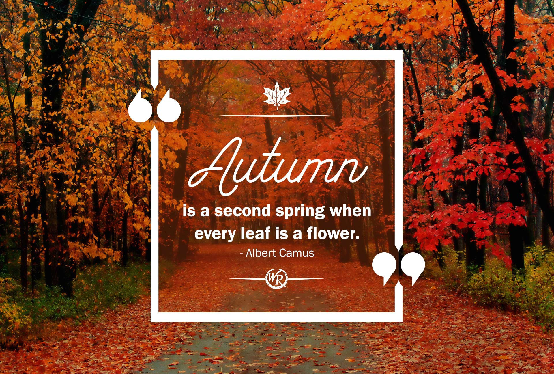 Autumn Quotes