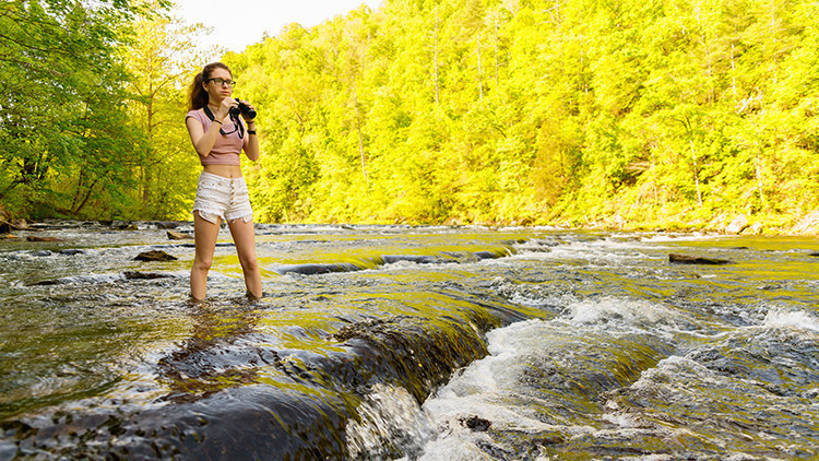 Smoky Mountains: los mejores lugares para vacacionar con estudiantes universitarios