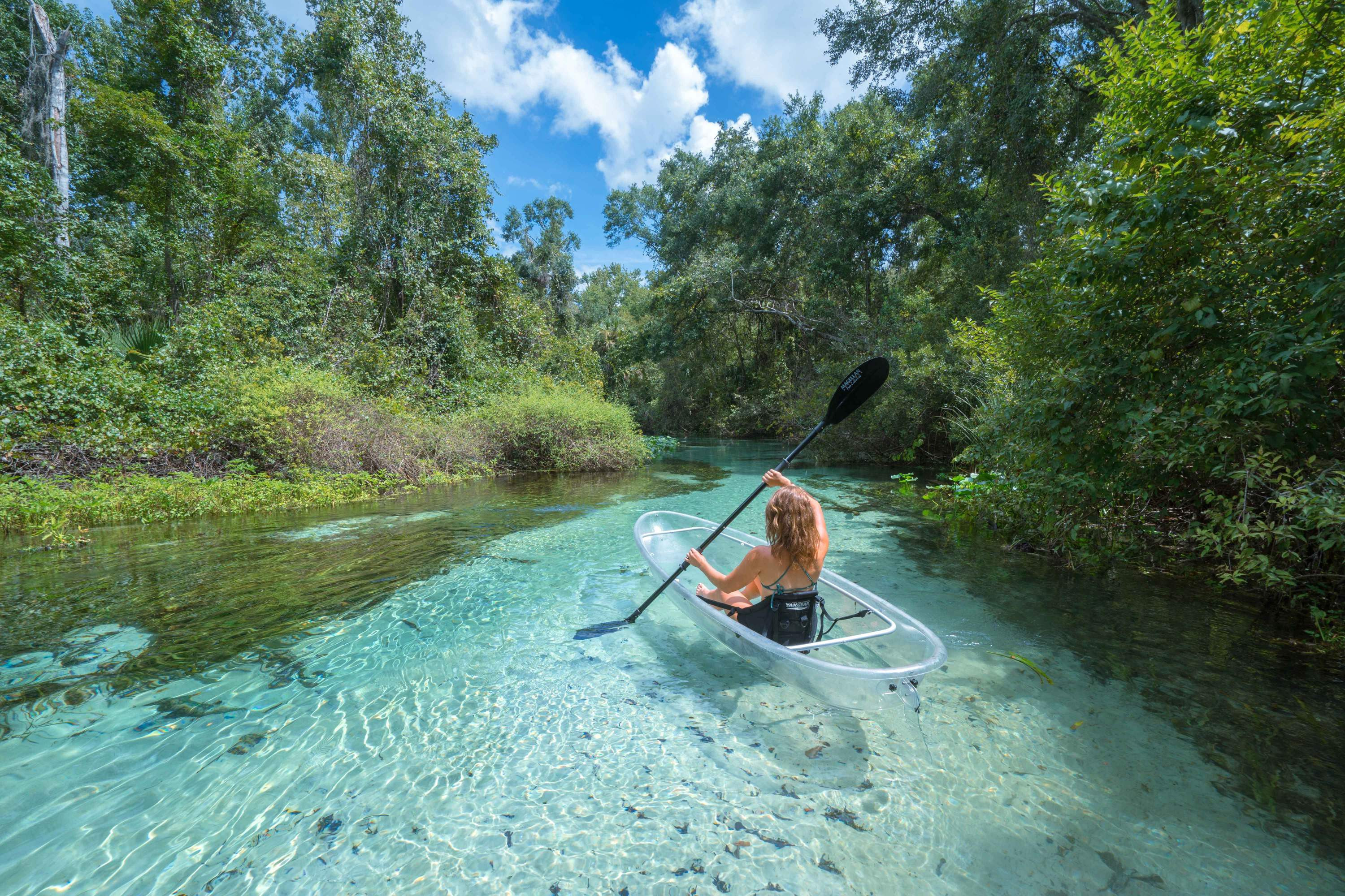 Rock Springs - Best Places to Kayak in Florida