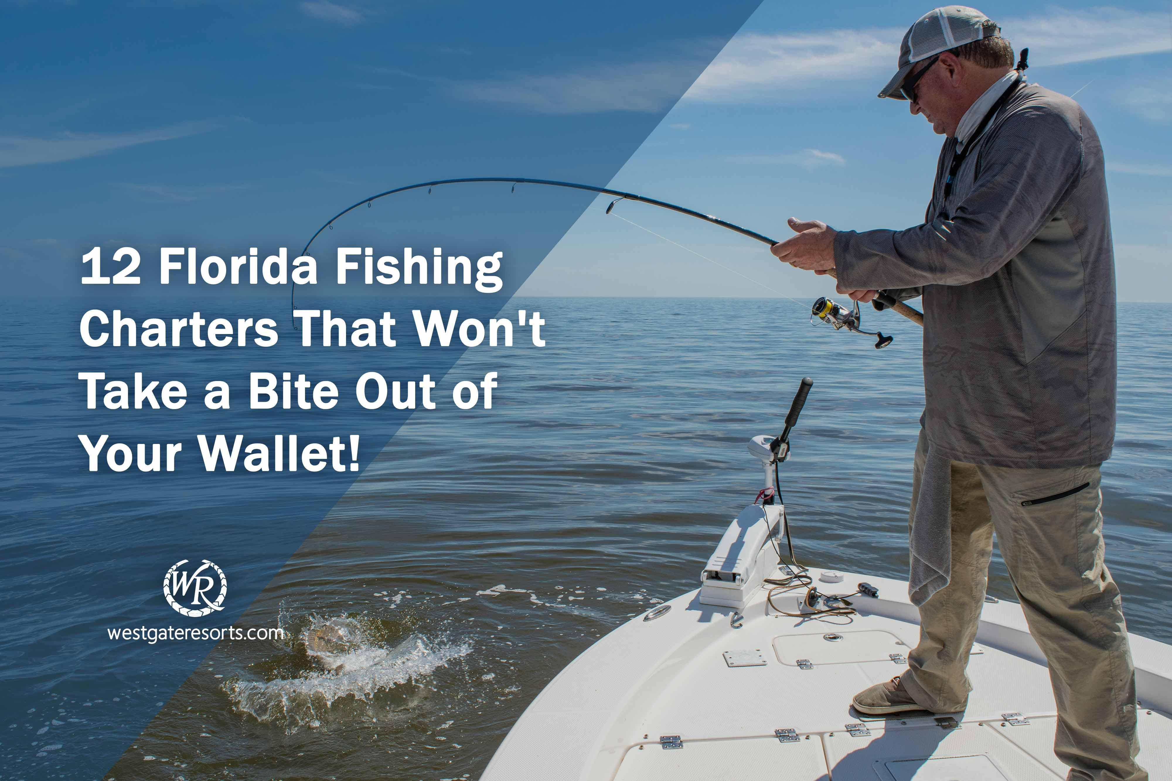12 Florida Fishing Charters That Won't Take a Bite Out of Your Wallet!