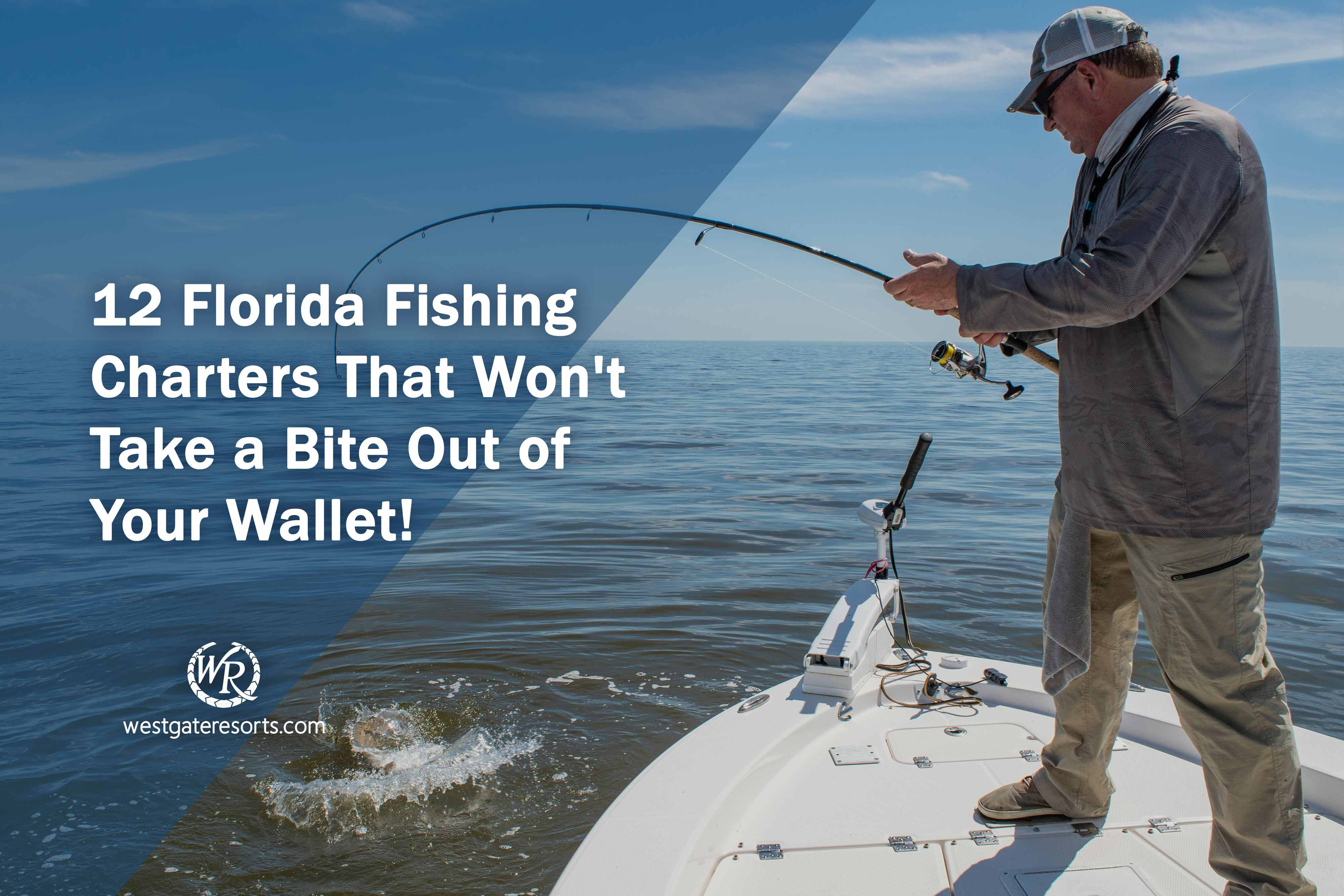 ¡12 excursiones de pesca en Florida que no te quitarán un bocado de la billetera!