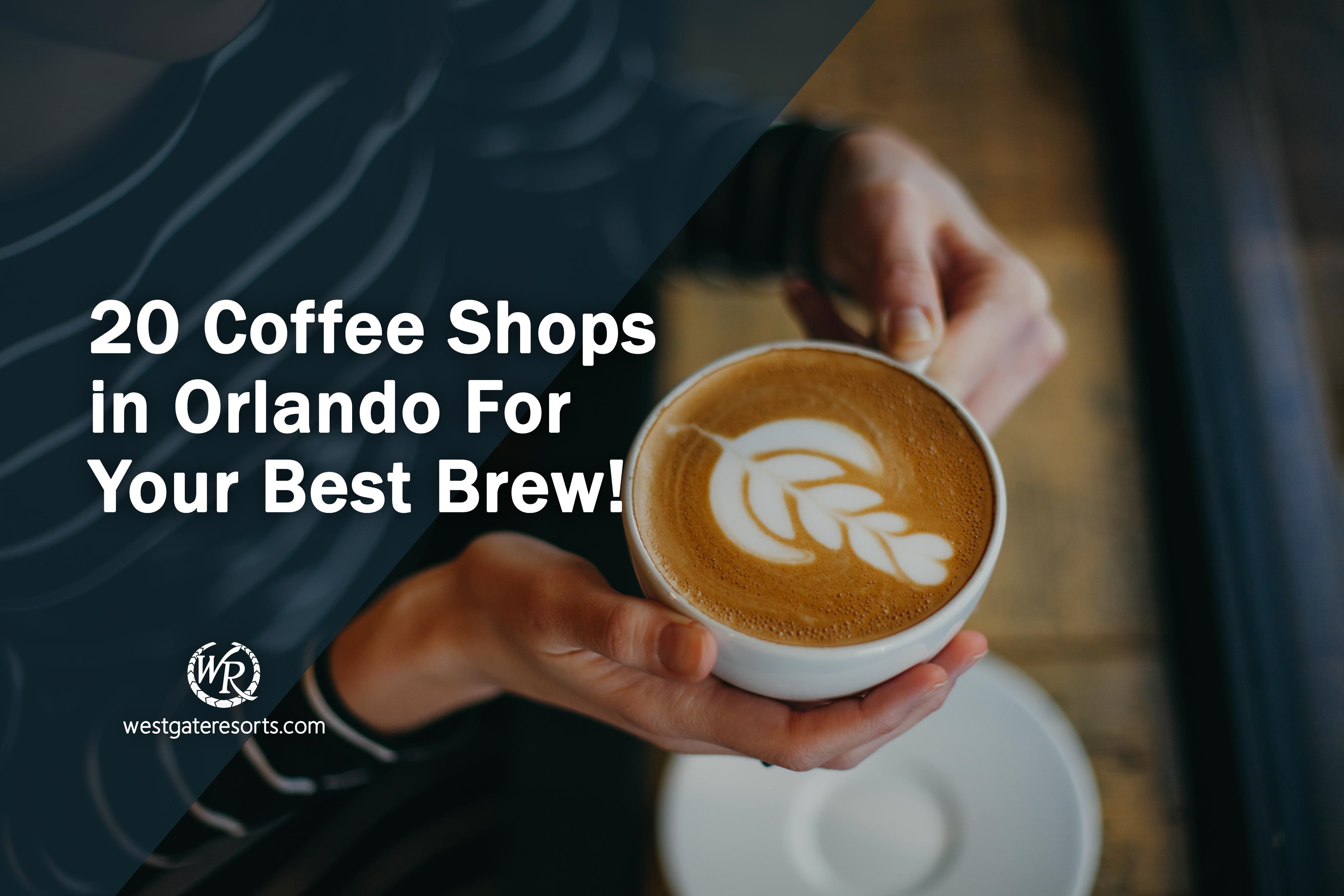 20 Coffee Shops in Orlando For Your Best Brew!