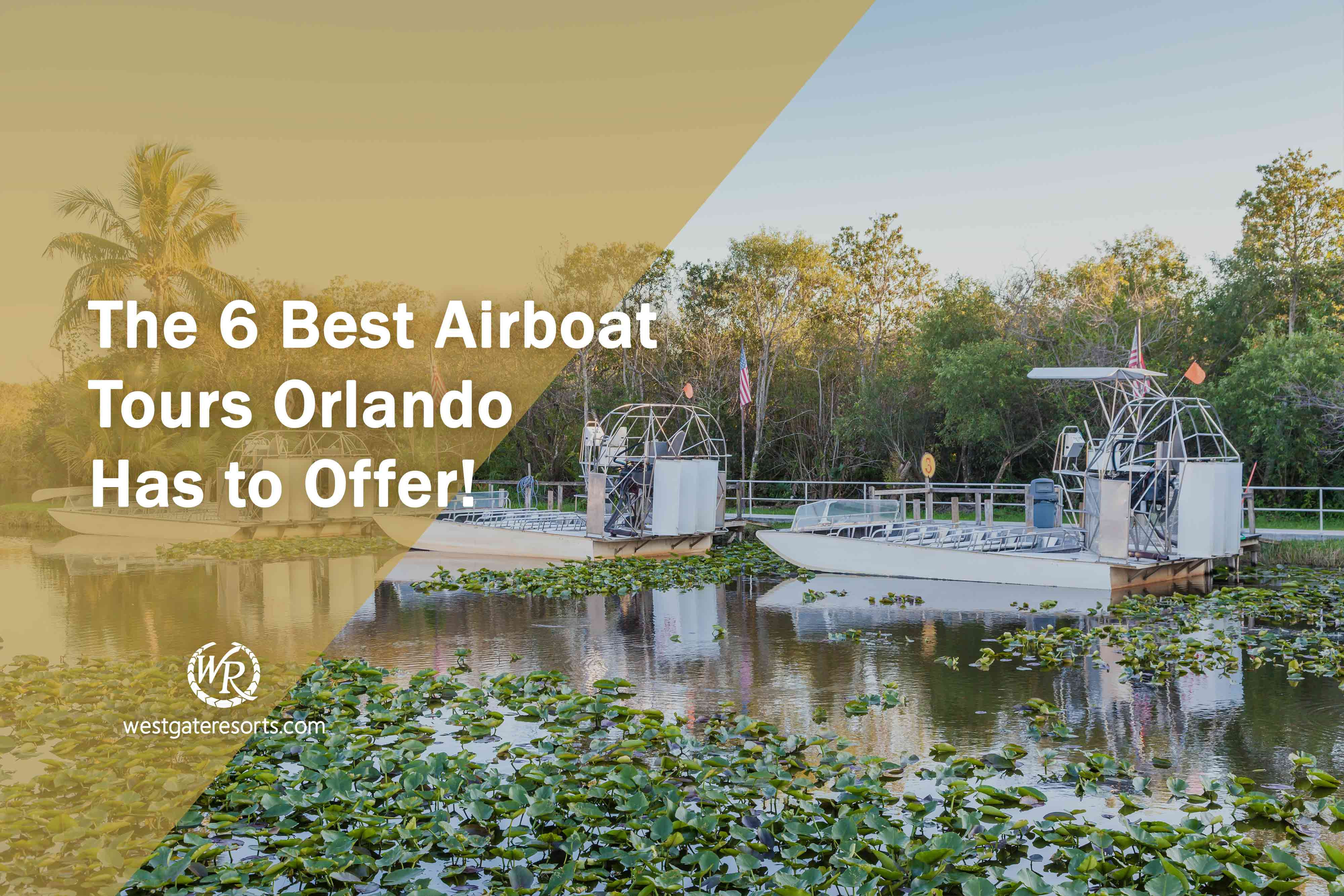 The 6 Best Airboat Tours Orlando Has to Offer!