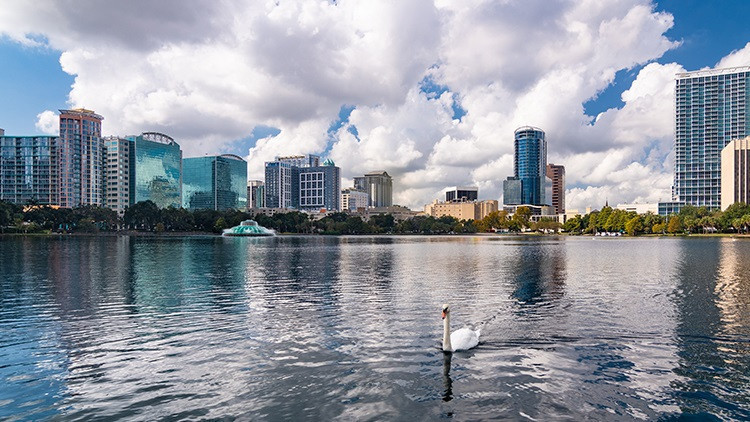 Los 6 mejores lugares para reuniones familiares en Florida - Orlando