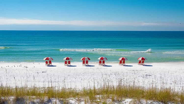 Florida Beach Towns Water Bottle