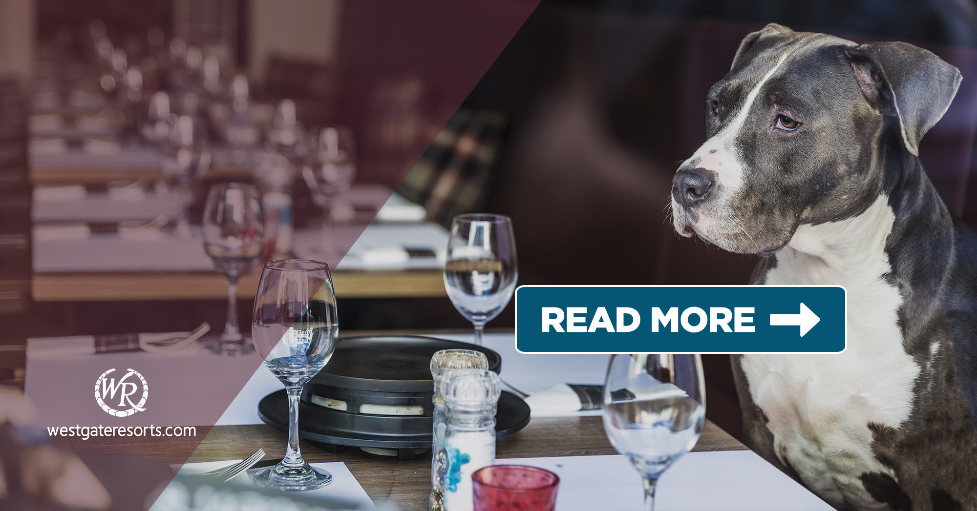 Dog Friendly Las Vegas Restaurants