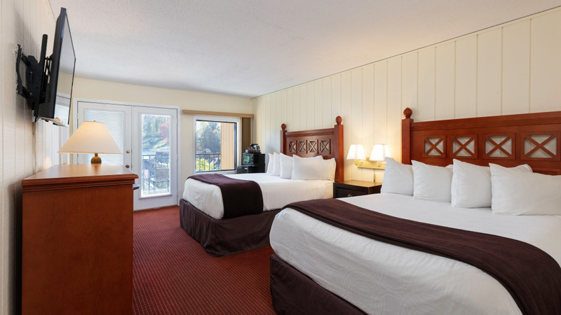 Accommodation Option -standard-queen-guestroom