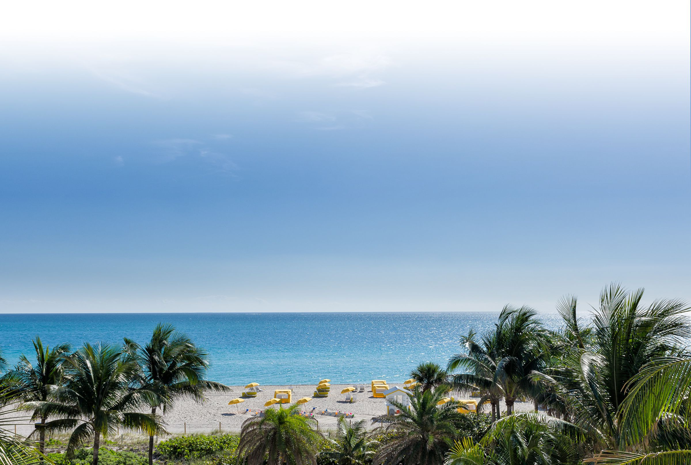 Oceanfront resort overlooking white-sand beach and Atlantic Ocean | Westgate South Beach Oceanfront Resort