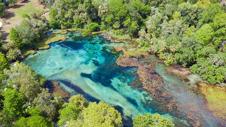 20 ideas para las vacaciones de primavera para familias con un presupuesto limitado