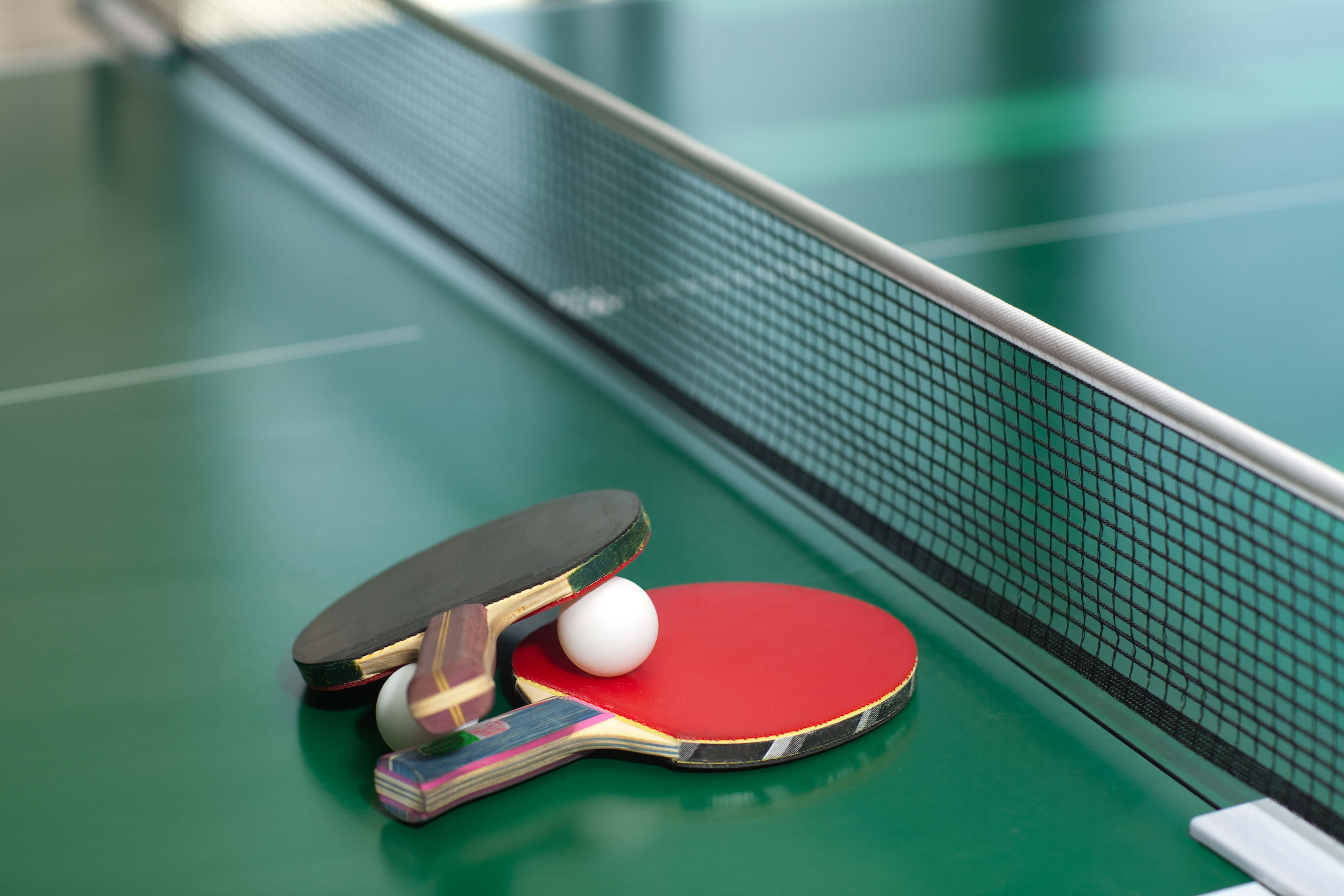 Ping Pong table, paddles and balls | Westgate Branson Woods Resort | Westgate Resorts in Branson MO