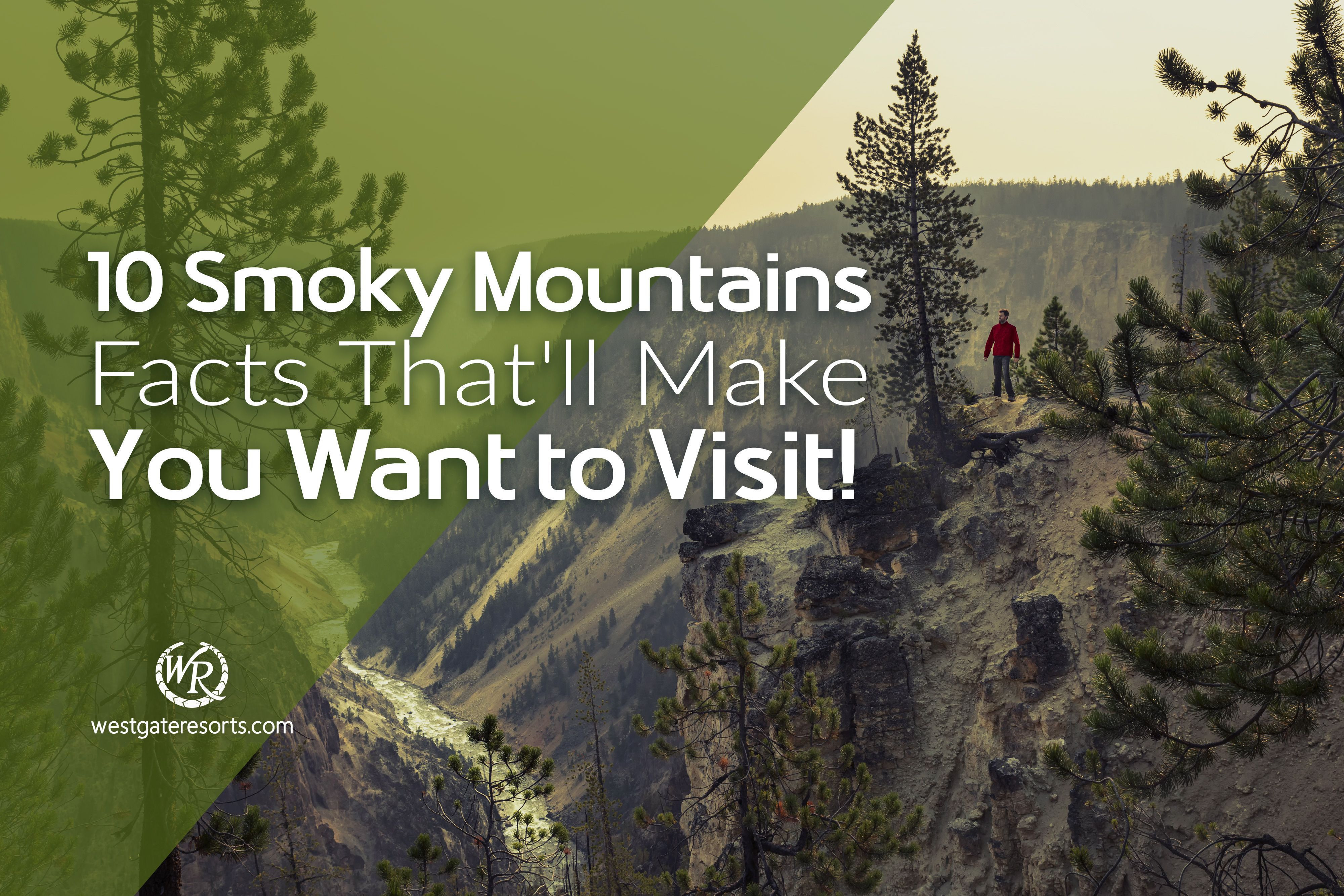 10 Smoky Mountains Facts That'll Make You Want to Visit!