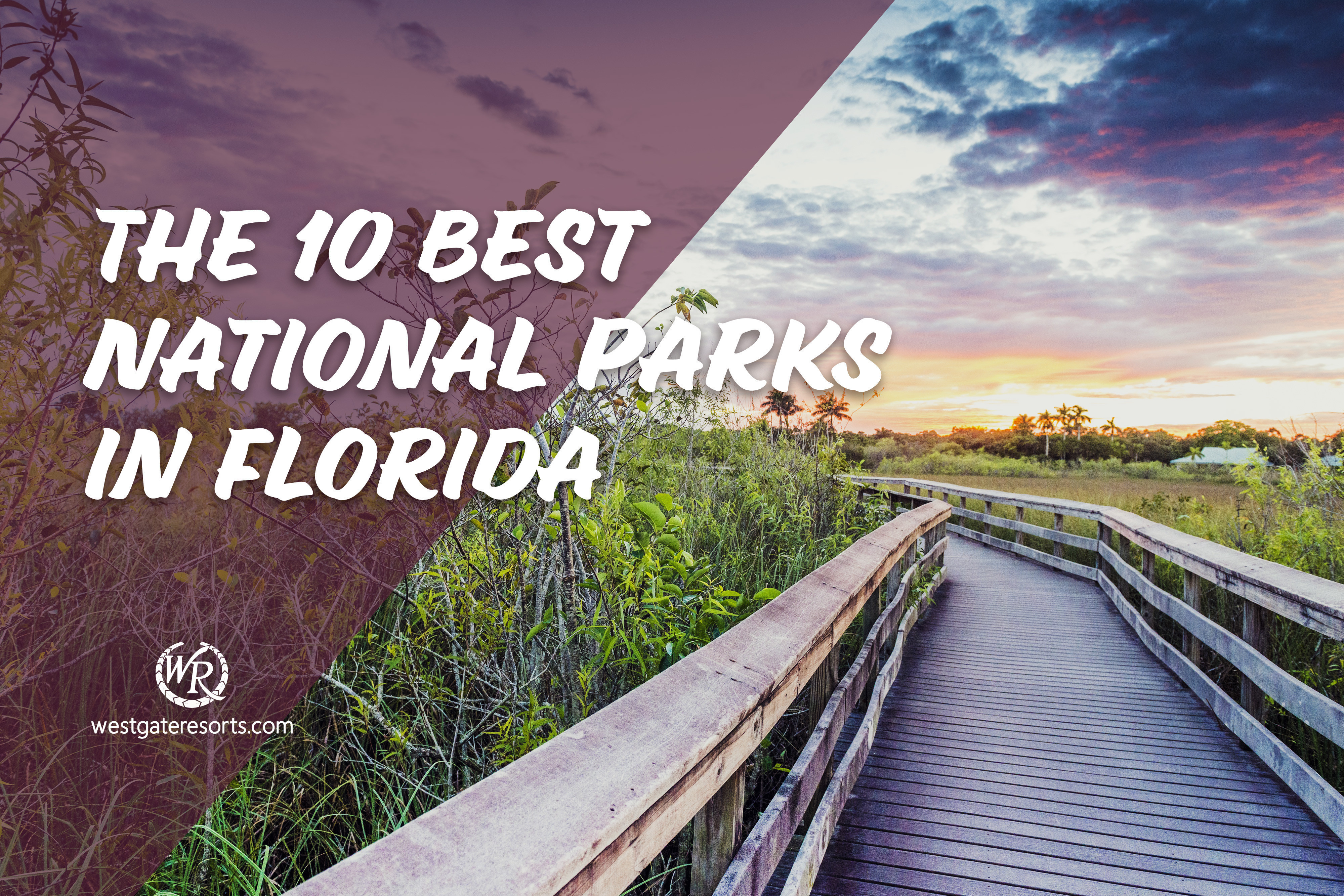 Los 10 mejores parques nacionales de Florida