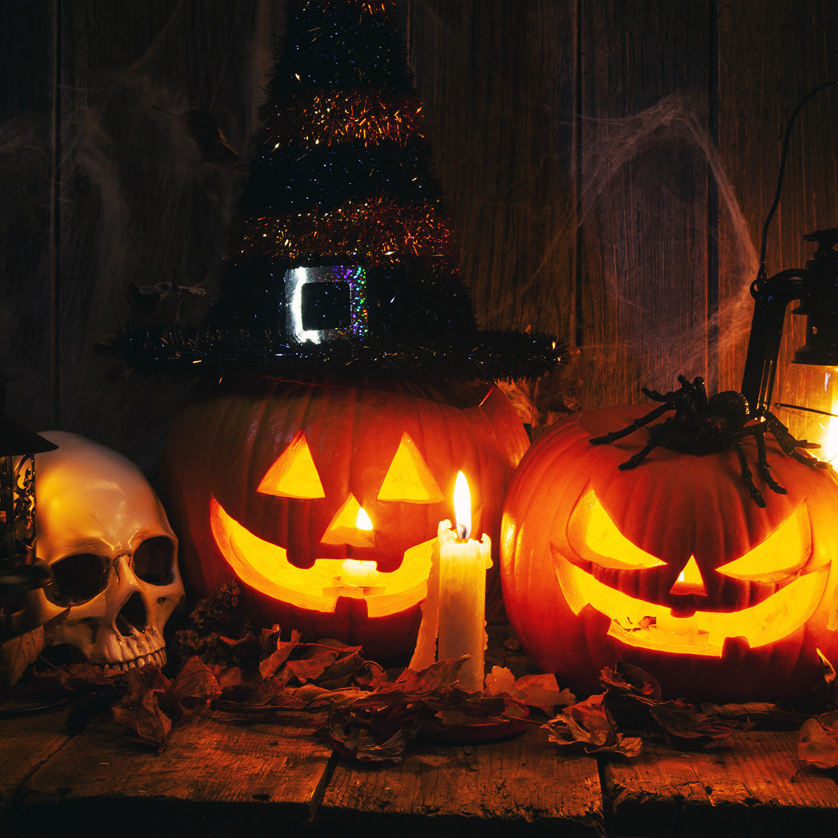 Myrtle Beach Halloween Hotel Deals Westgate Myrtle Beach Oceanfront