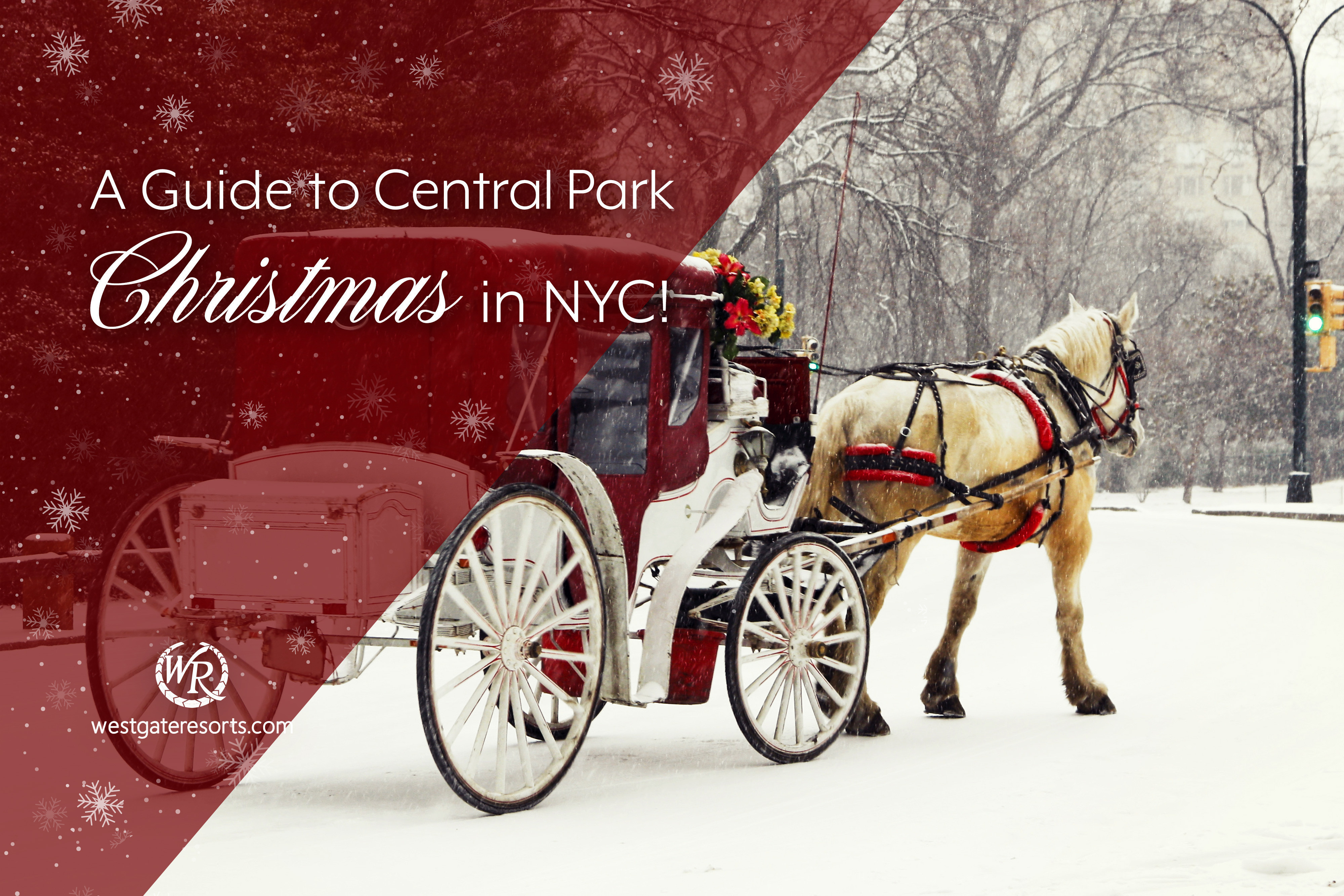Una Navidad en Central Park en Nueva York: ¡Una guía al aire libre de Merry Manhattan!
