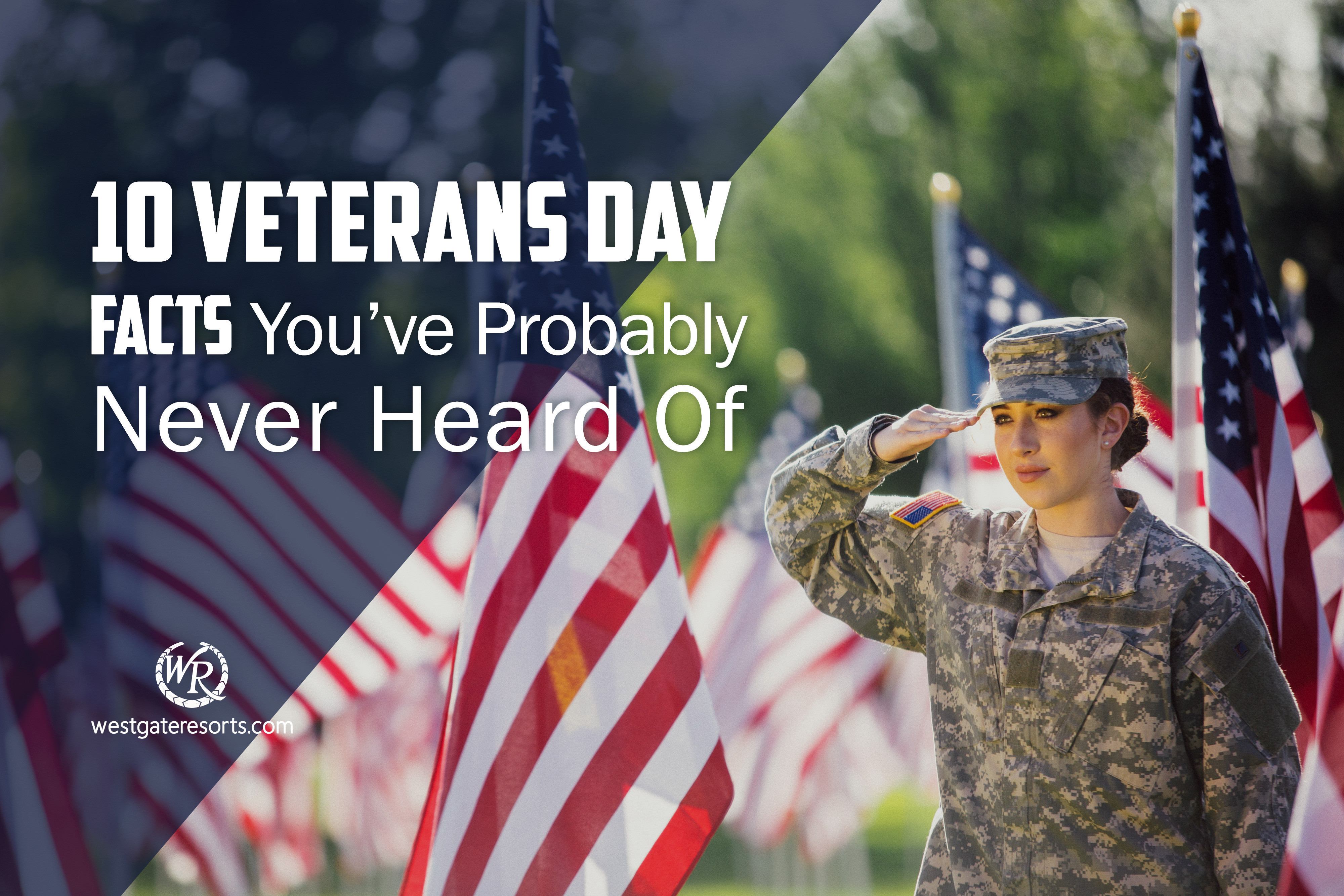 10 Veterans Day Facts You’ve Probably Never Heard Of